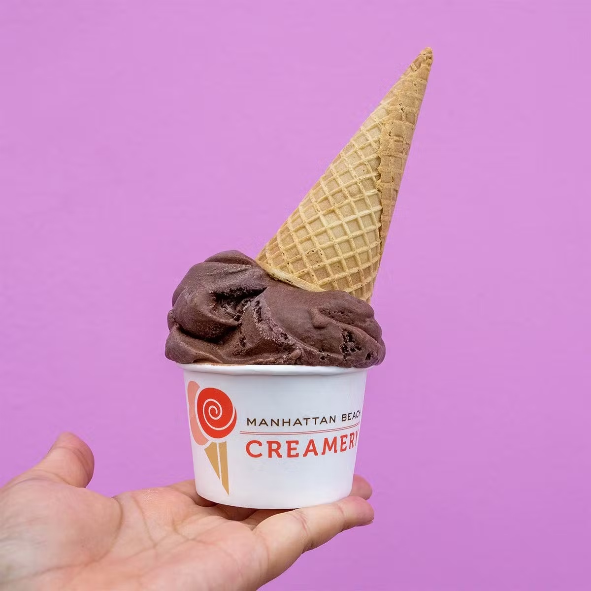 17547-chocolate-ice-cream-5-pints-1.jpg