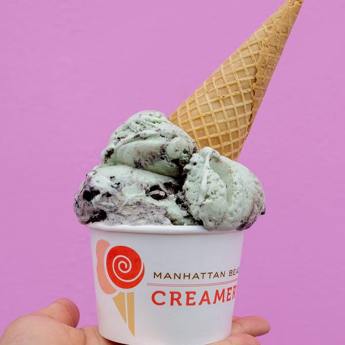 Mint Oreo Ice Cream - 5 Pints