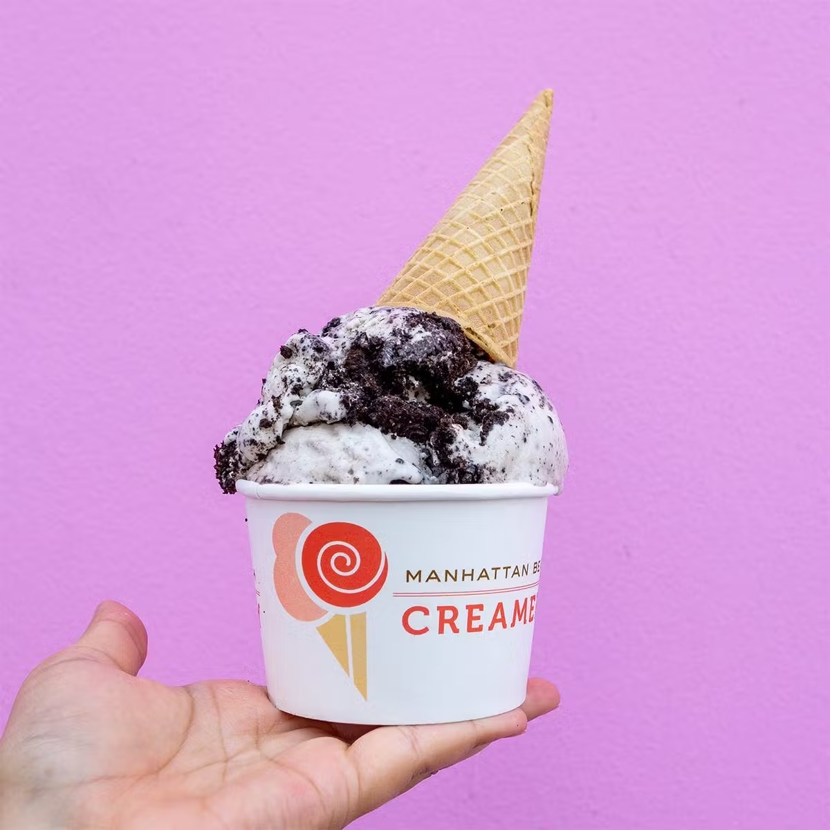 Cookies & Cream Ice Cream - 5 Pints
