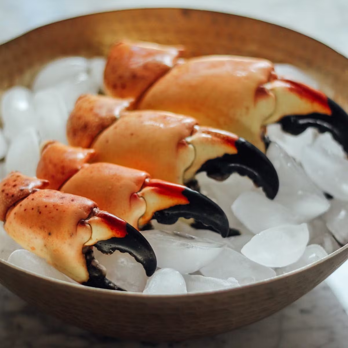 Stone Crab + Caviar + Key Lime Pie