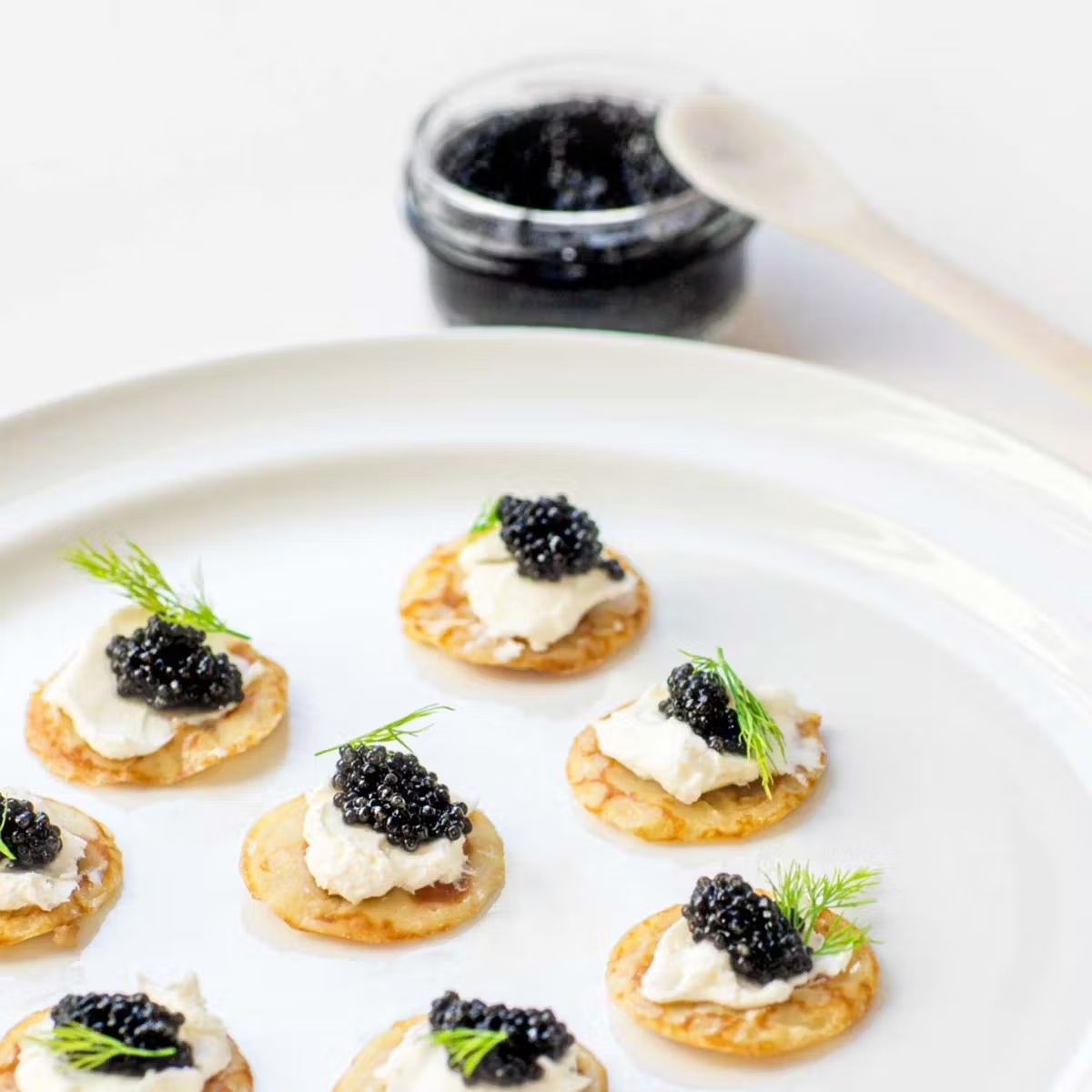 17604-stone-crab-caviar-key-lime-pie-1.jpg