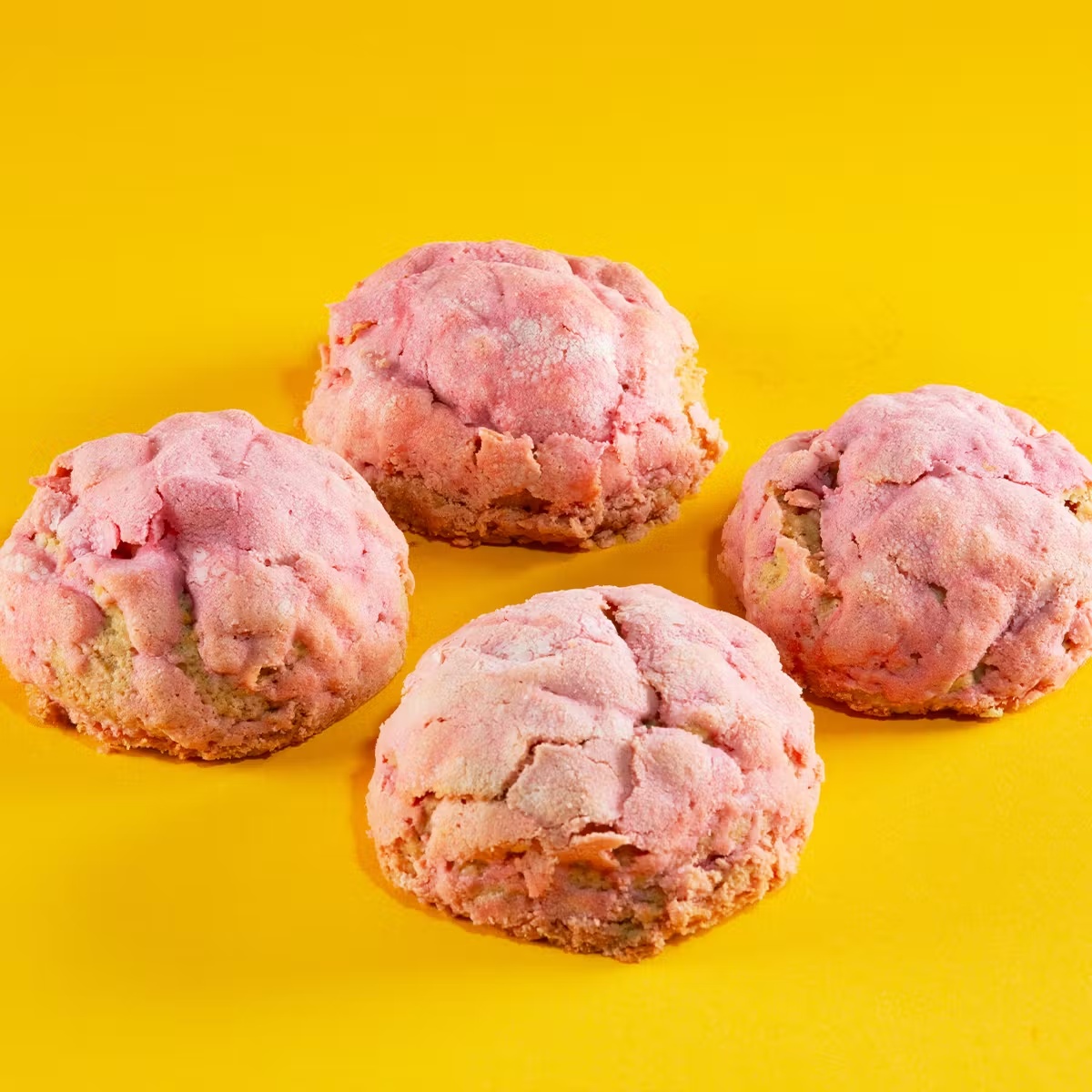 Vegan + Gluten Free "Sconchas" - 6 Pack