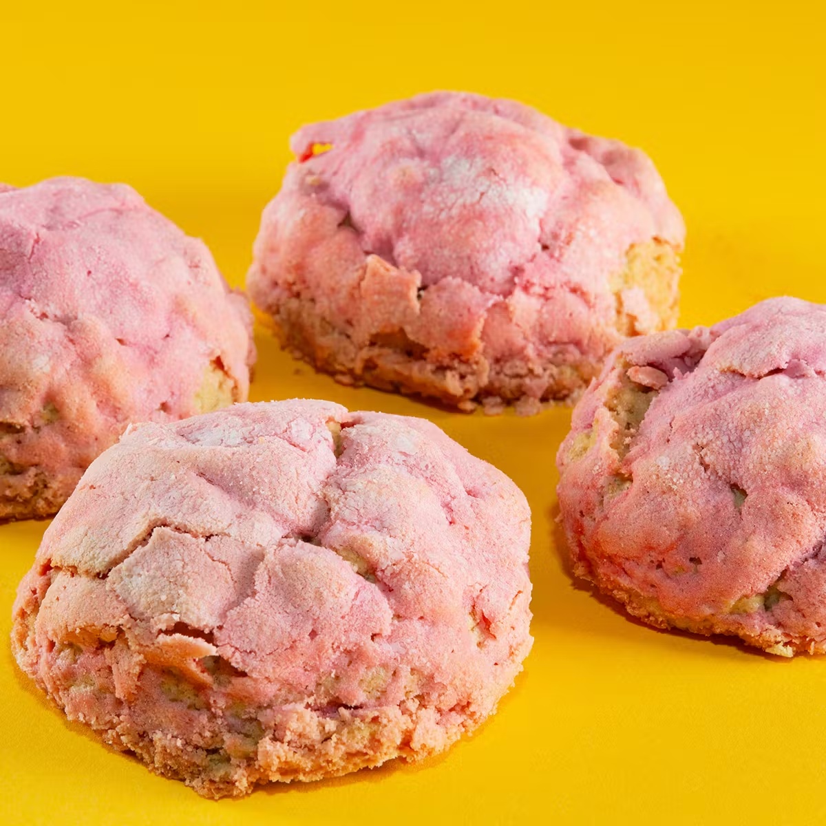 Vegan + Gluten Free "Sconchas" - 6 Pack
