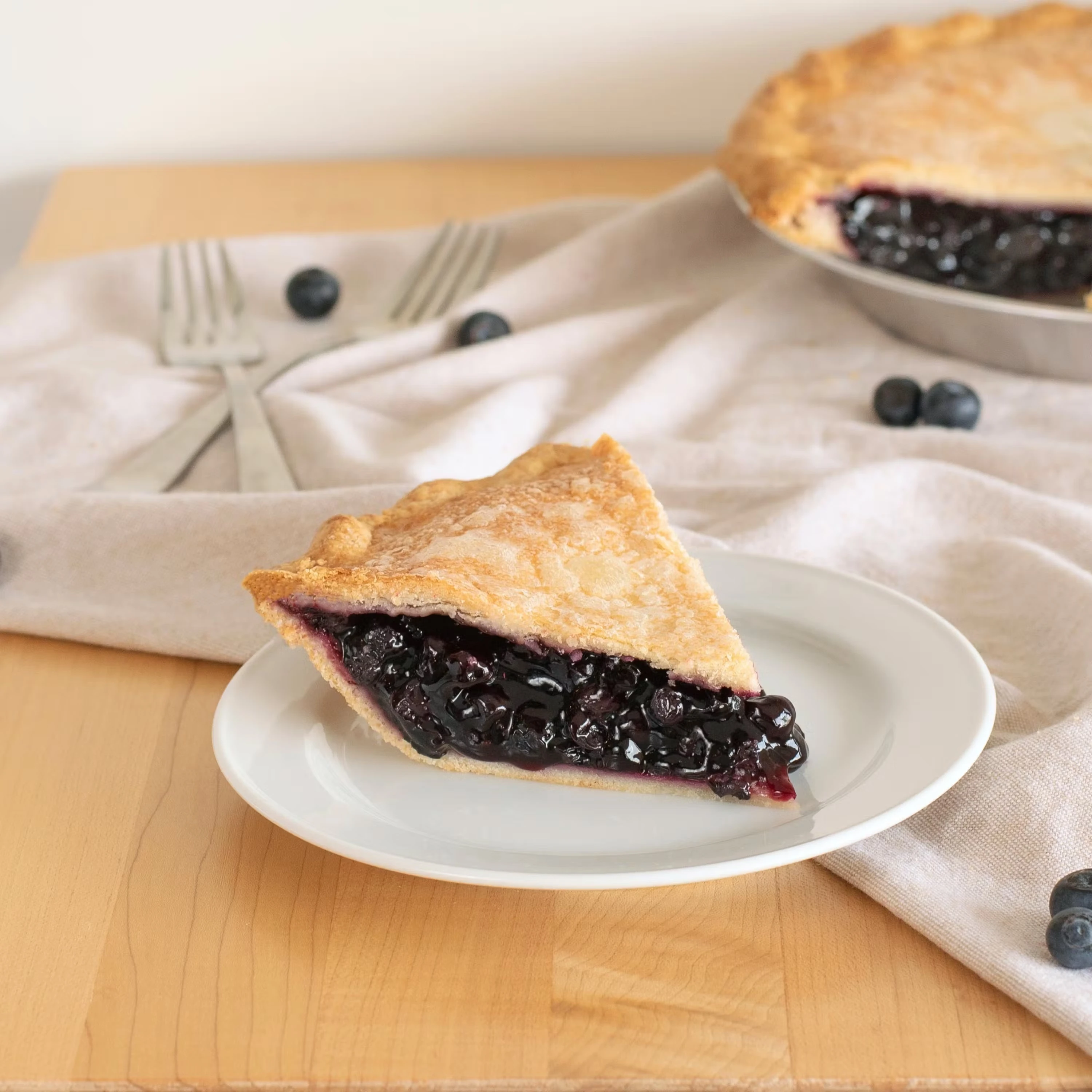 Double Crust Blueberry Pie (Vegan)