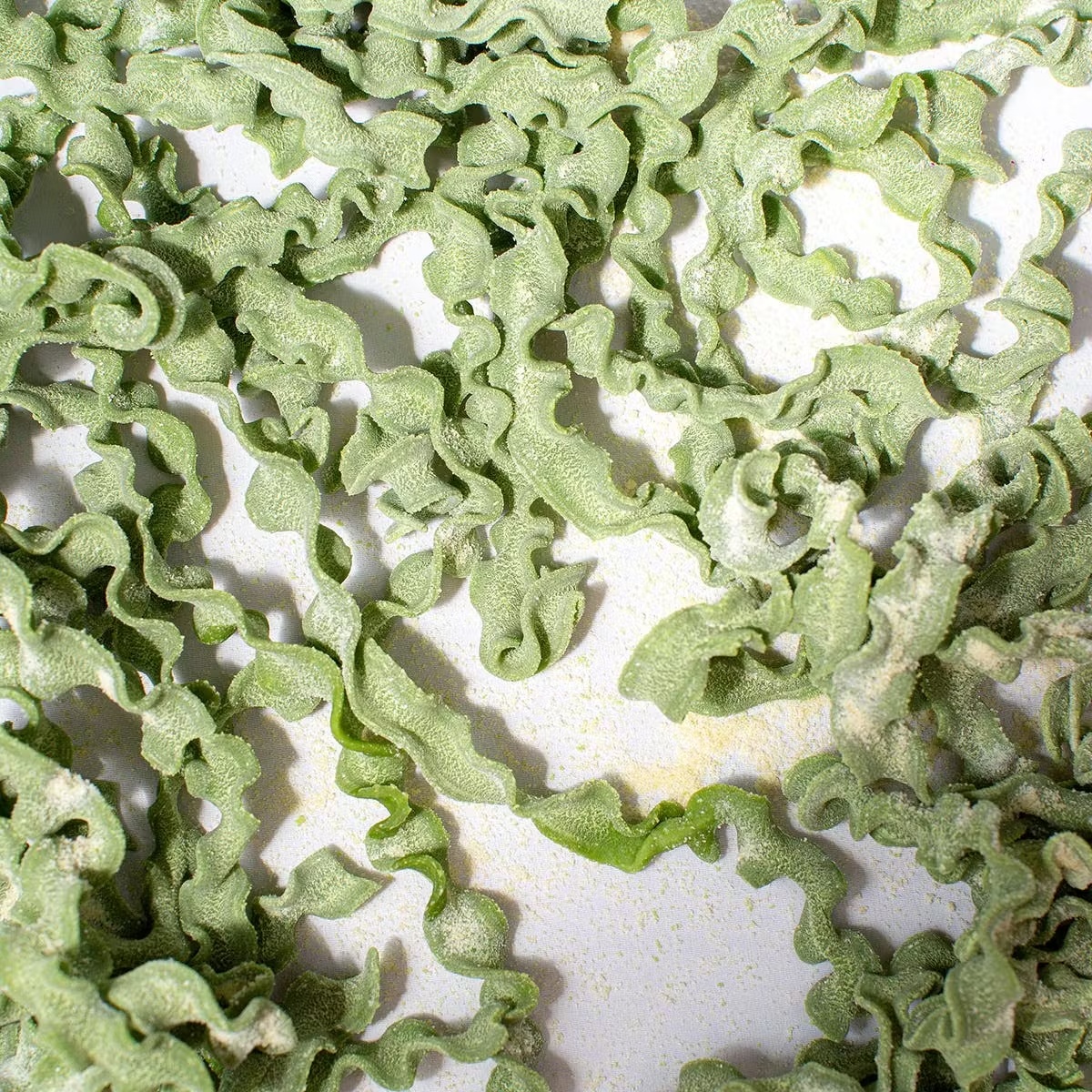 17926-pasta-dinner-for-4-choose-your-own-1.jpg
