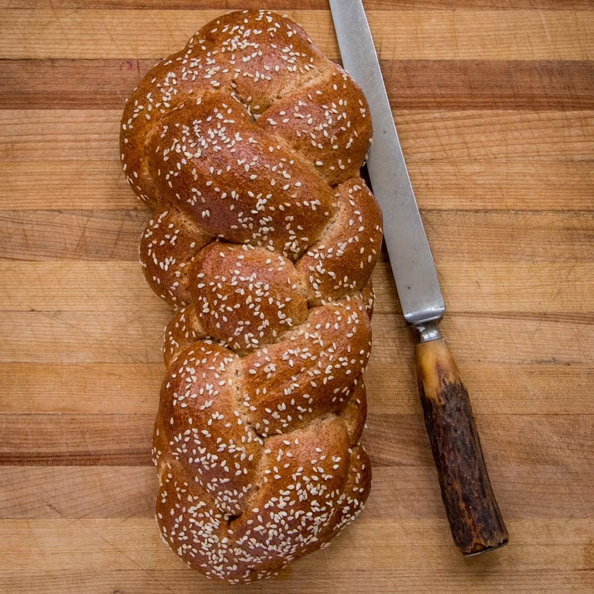 18261-challah-sampler-4-pack-1.jpg