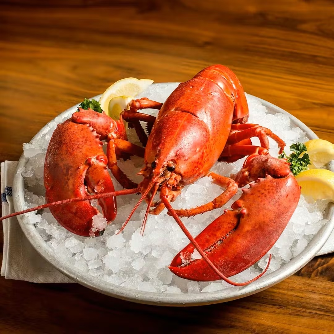 Special Edition Blue Ribbon Brasserie Shellfish & Golden Goat Caviar Gift Box