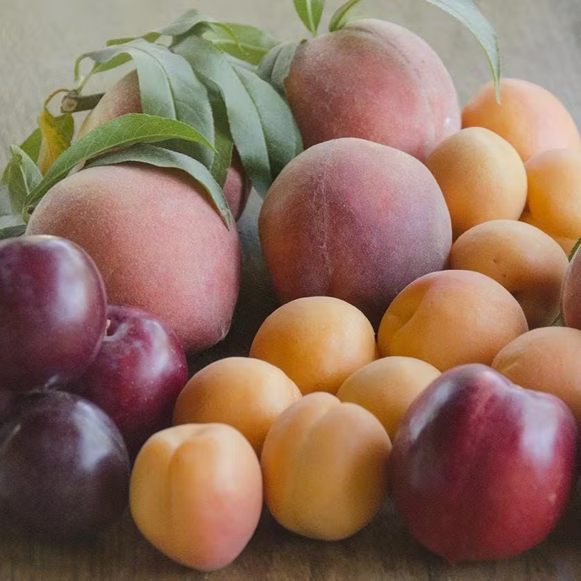 1834-organic-mixed-fruit-box-5lbs-1.jpg
