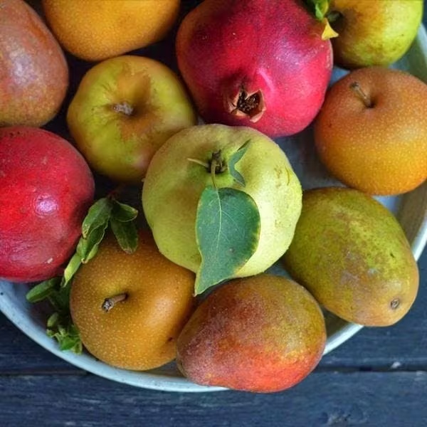 Organic Mixed Fruit & Cheese Gift Box