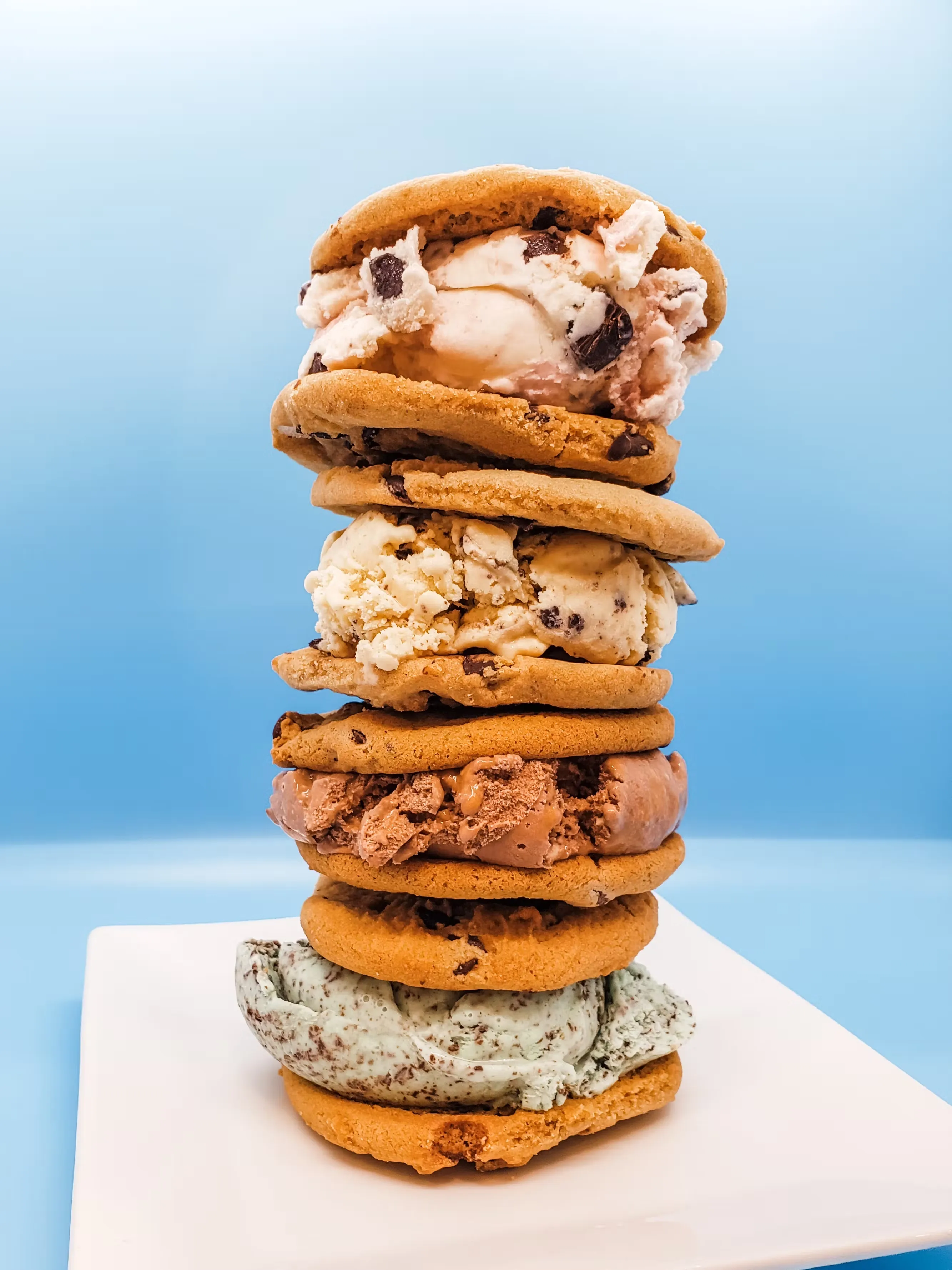 Chocolate Chip Ice Cream Sandwiches Sampler - 8 Pack