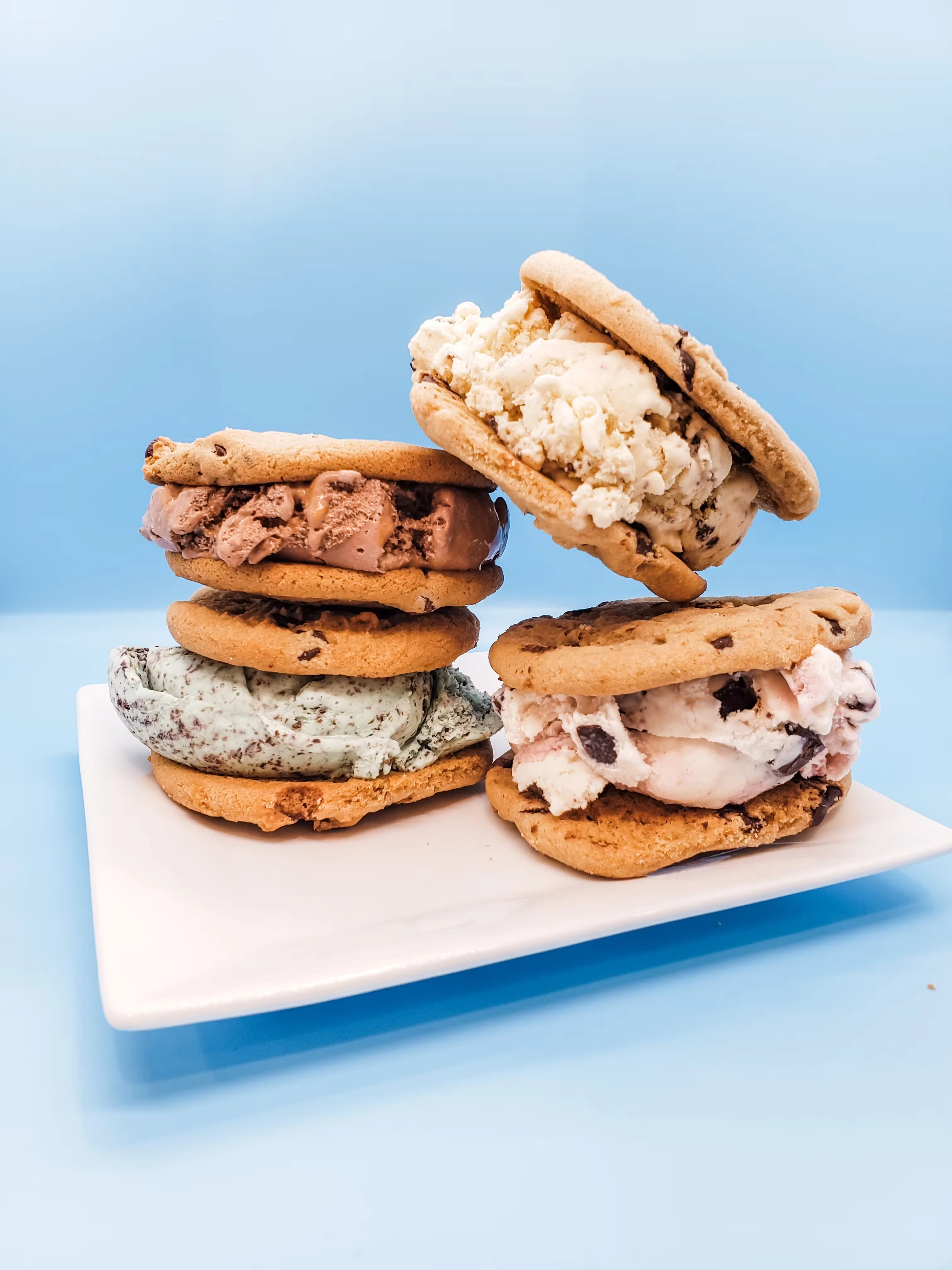Chocolate Chip Ice Cream Sandwiches Sampler - 8 Pack