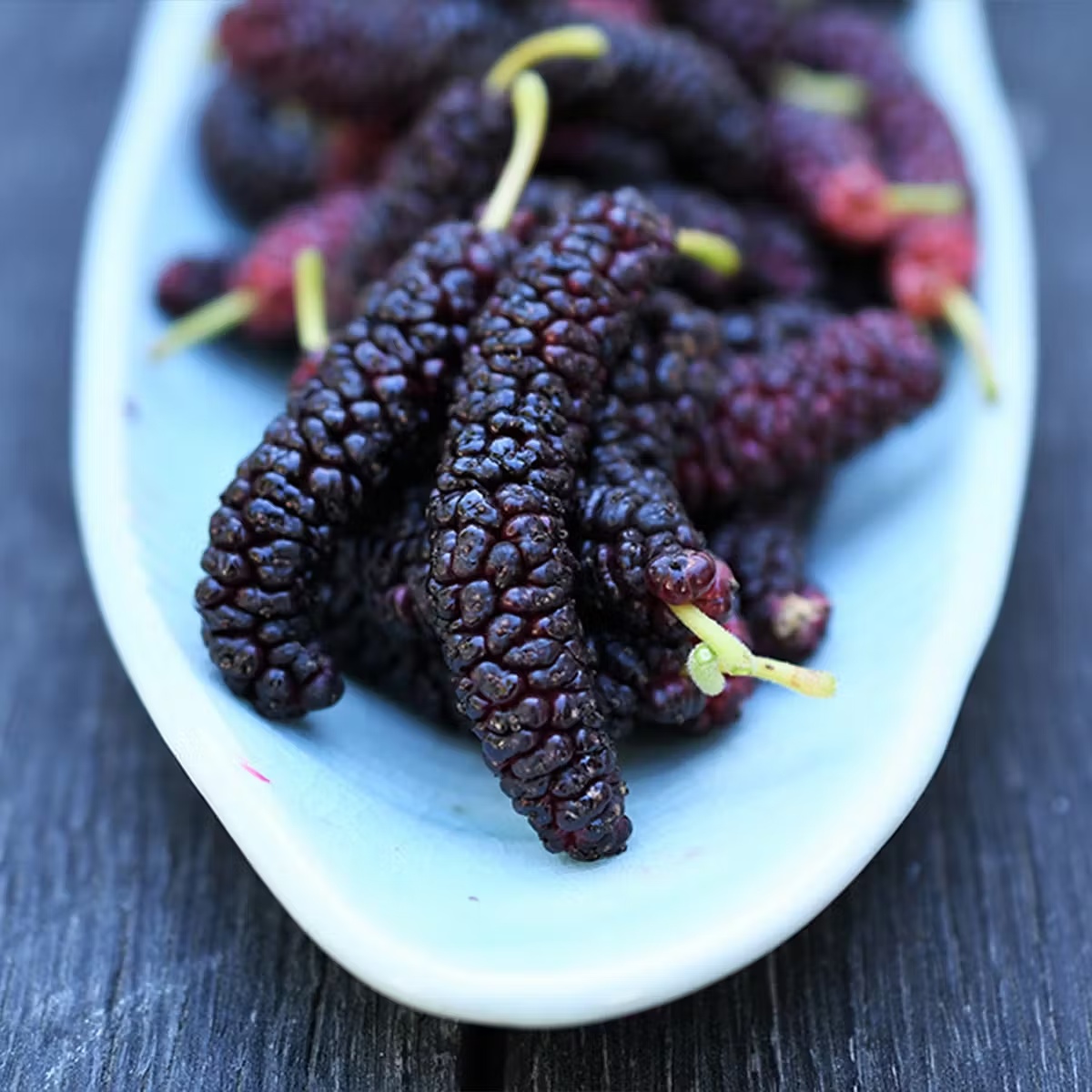 Organic Frozen Pakistan Mulberries