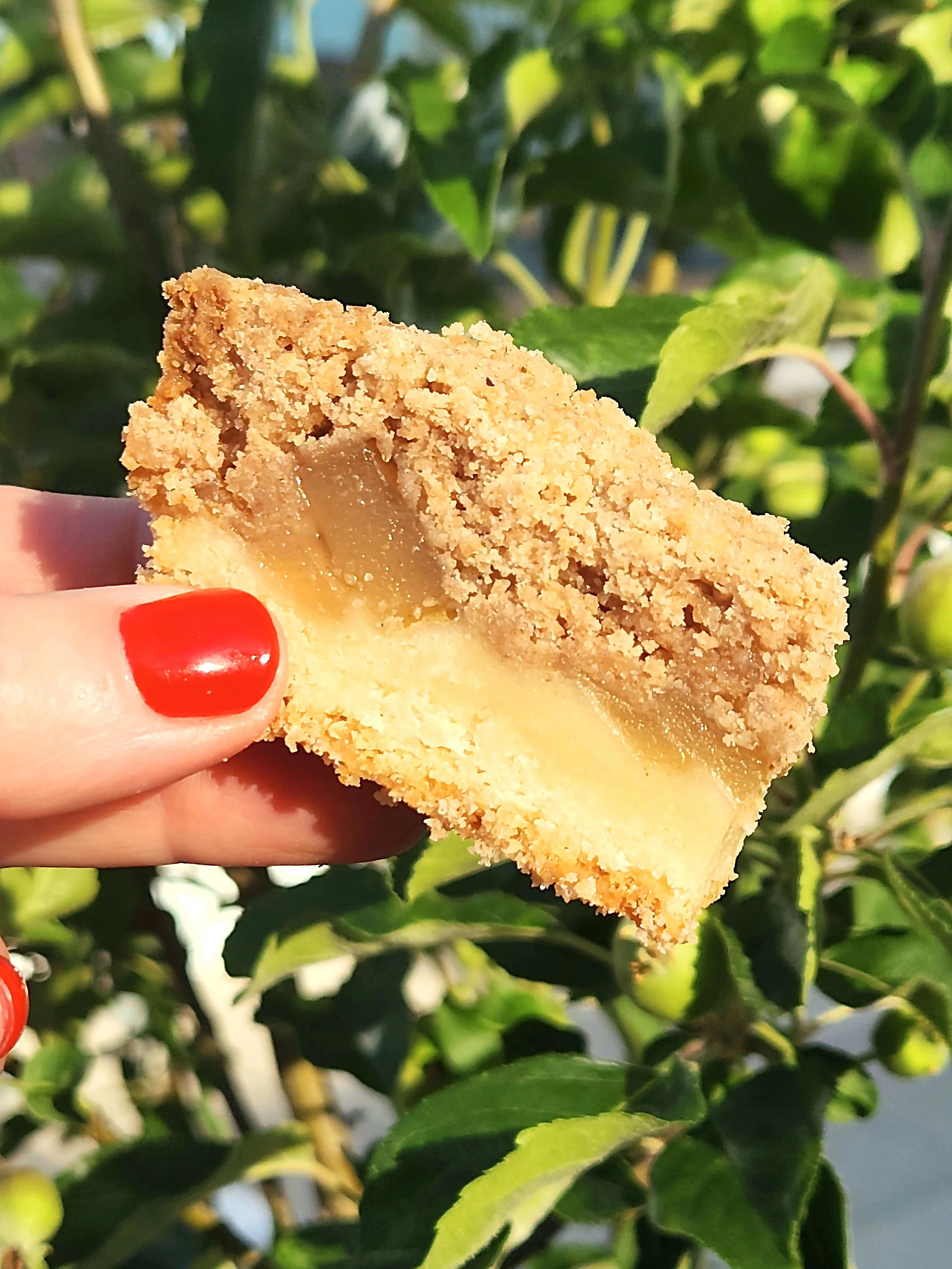 July 4th Shortbread - Choose Your Own