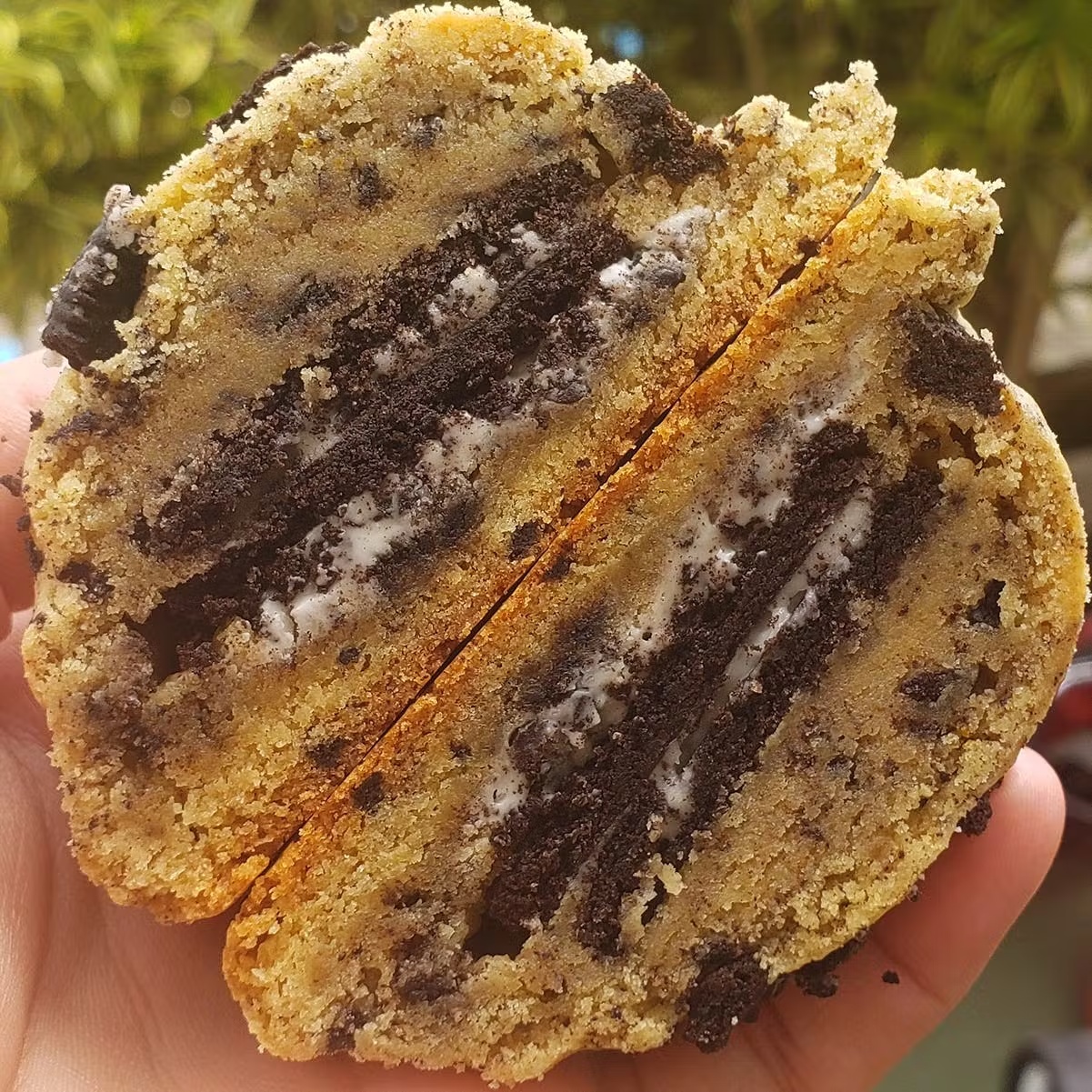 Stuffed Cookie Bestseller - 12 Pack