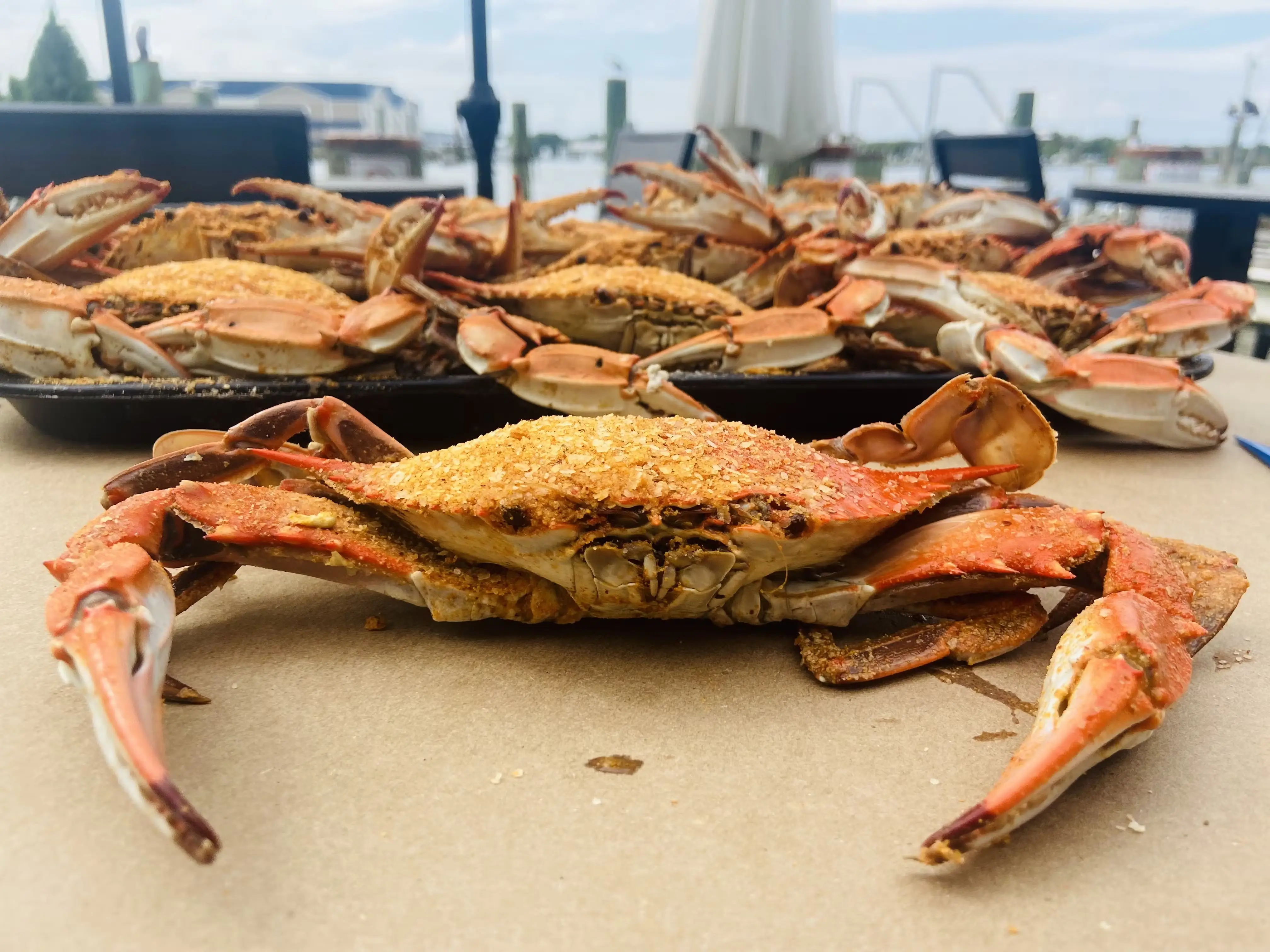 #1 Steamed Blue Crab Kit - 12 Pack