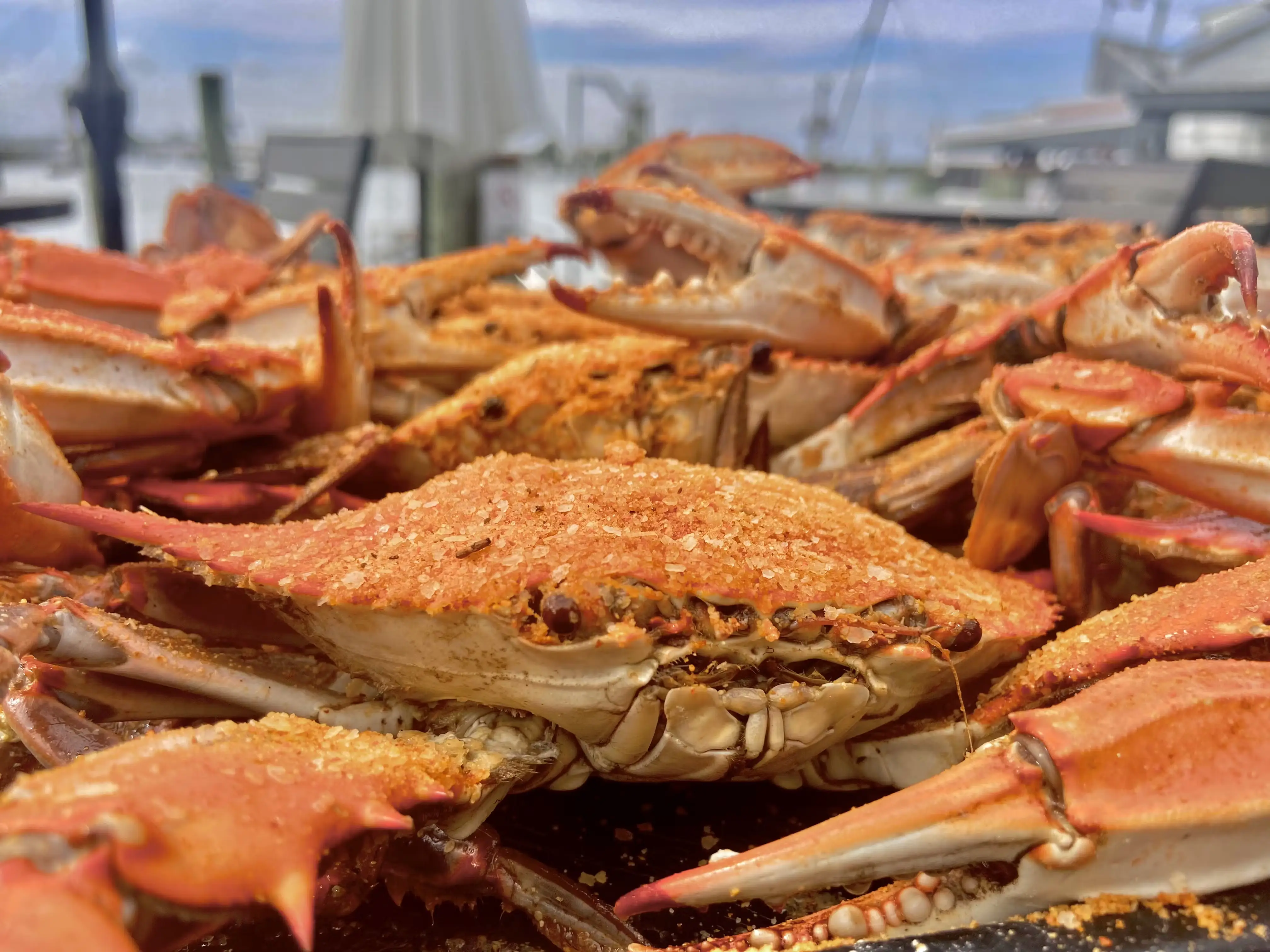 #1 Steamed Blue Crab Kit - 12 Pack