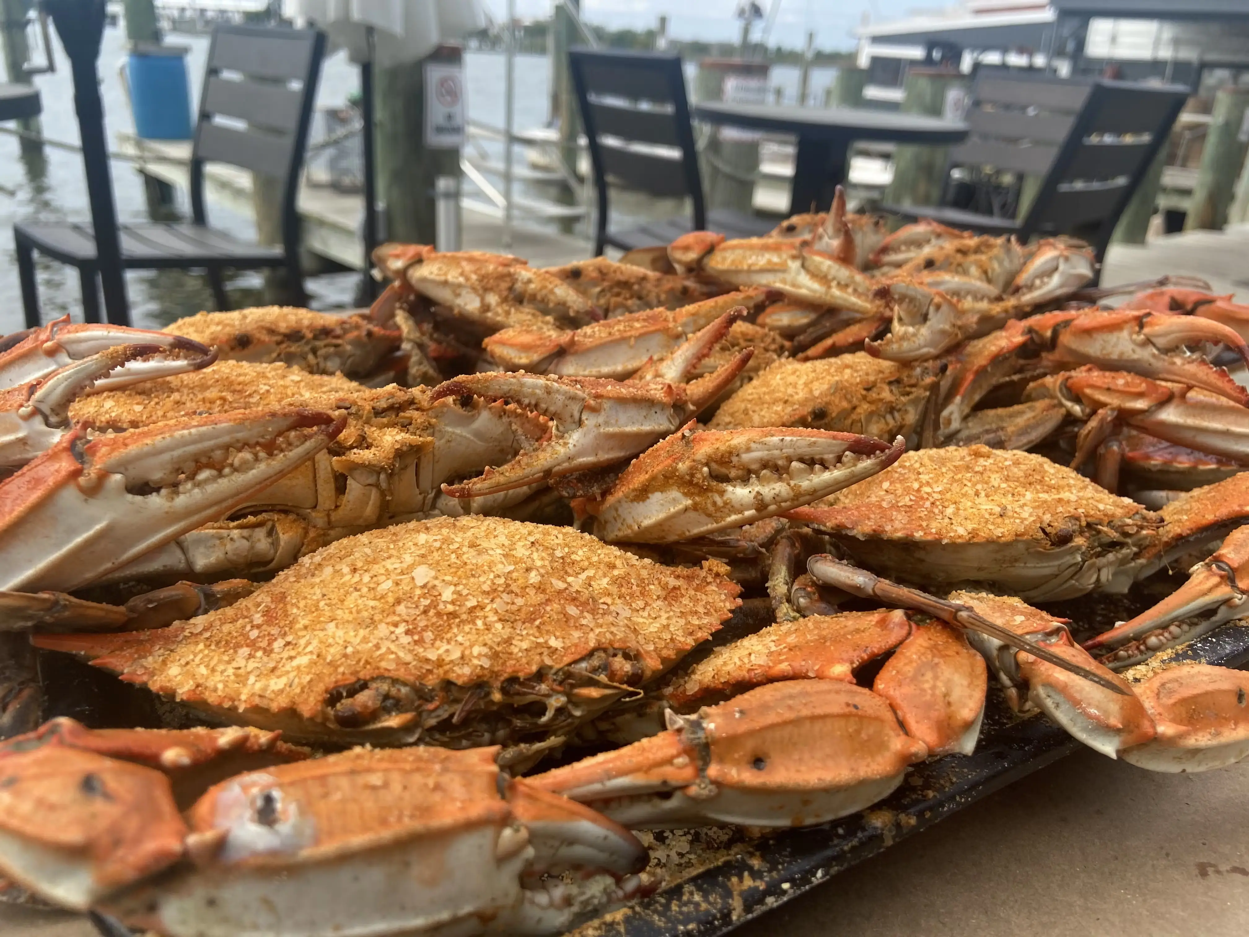 18789–1-steamed-blue-crab-kit-12-pack-1.webp