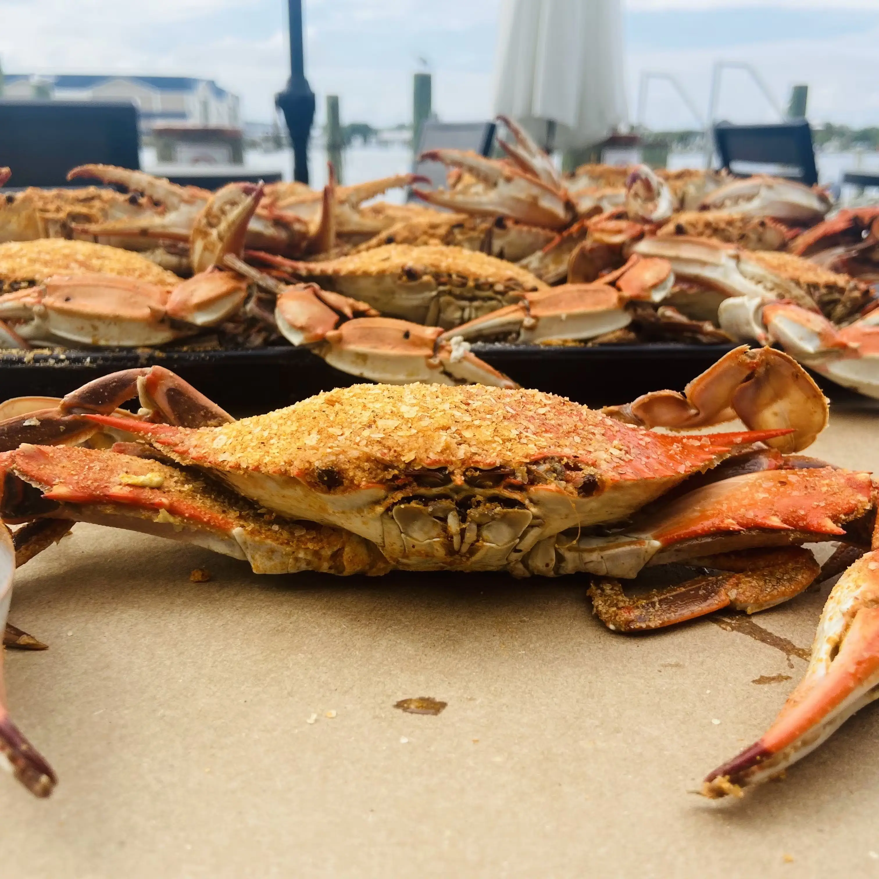Select #1 Steamed Blue Crab Kit - 12 Pack