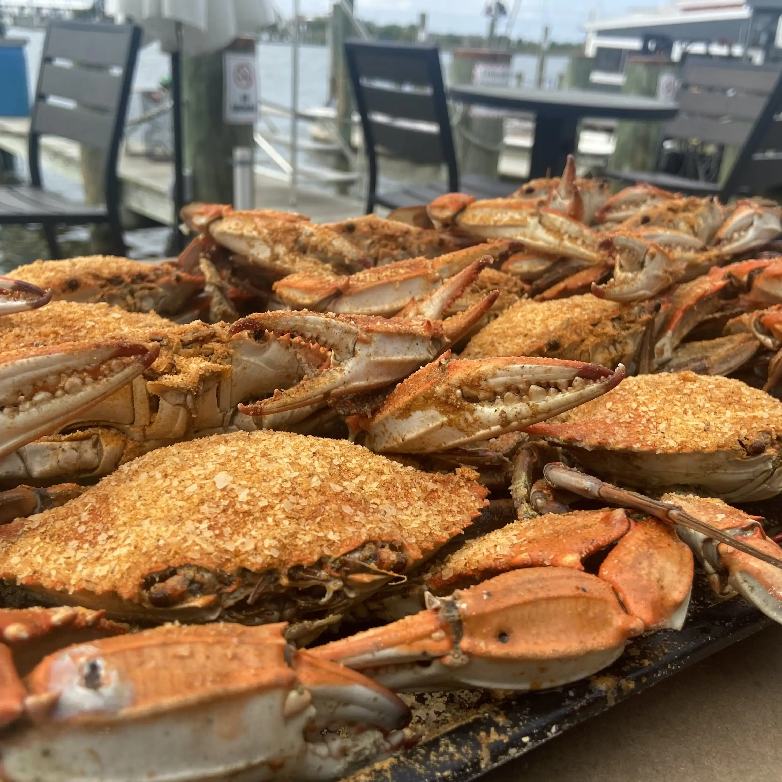 Select #1 Steamed Blue Crab Kit - 12 Pack