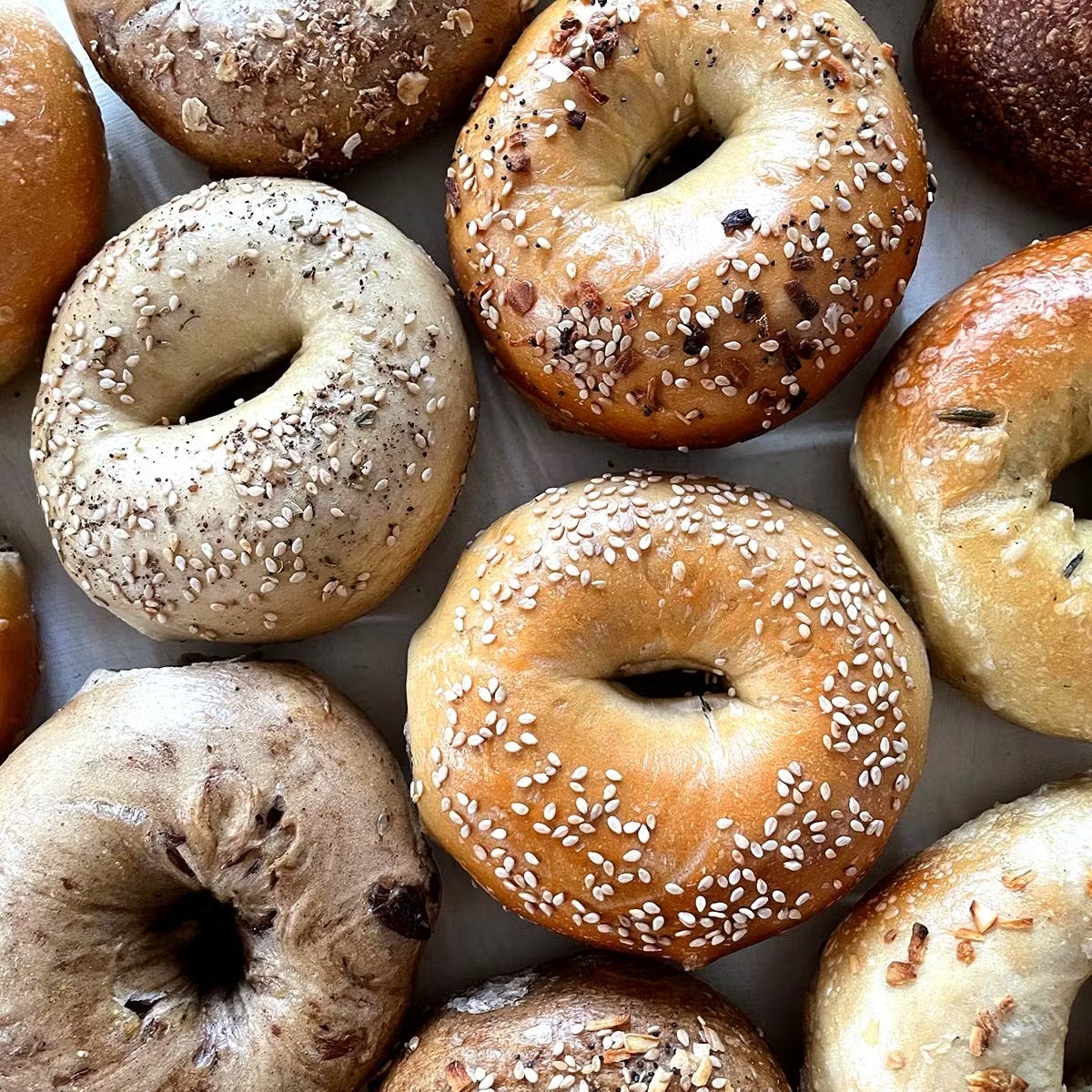 Bagels - Choose Your Own Dozen