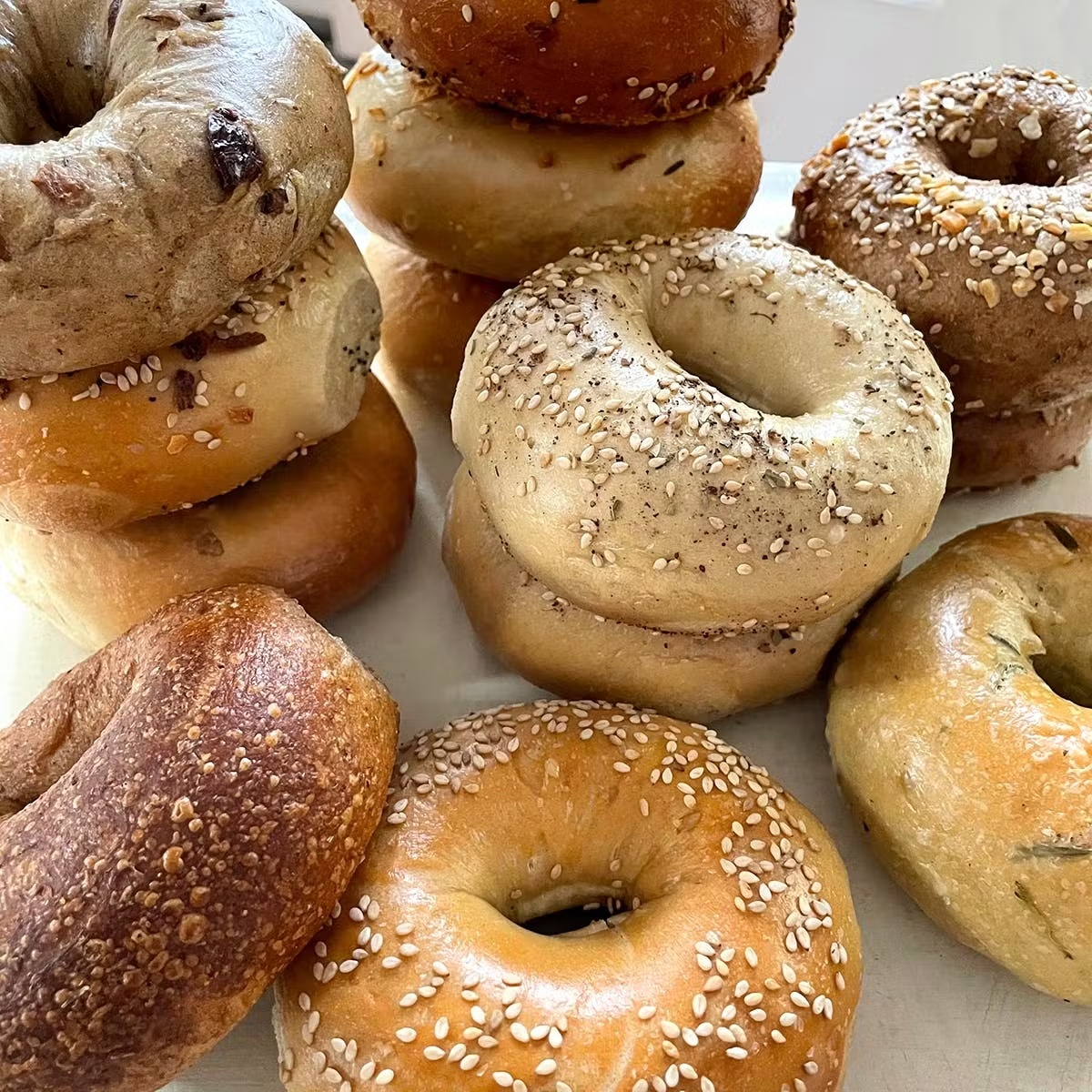 Bagel Brunch Bundle for 6