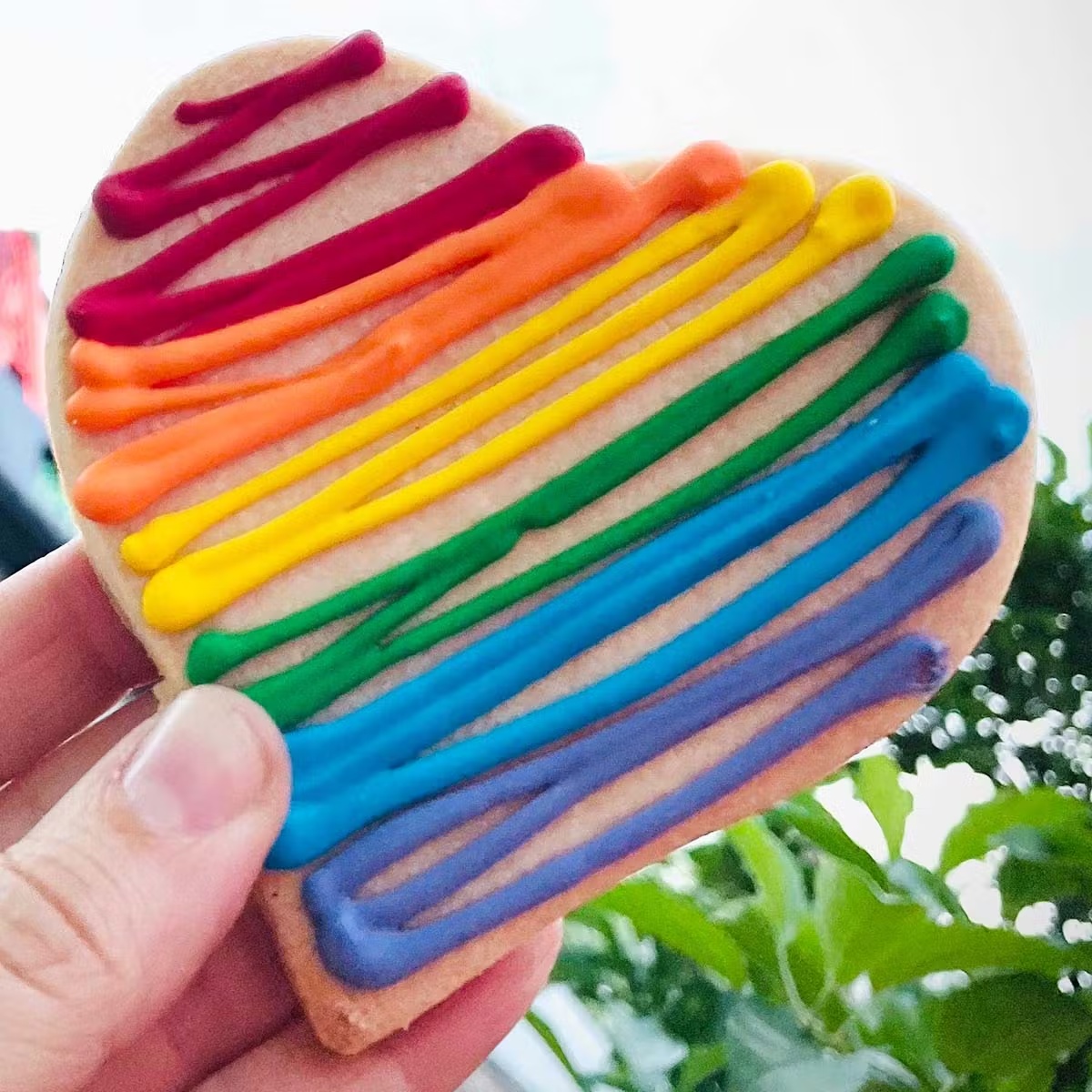 Rainbow Pride Cookies - 12 Pack