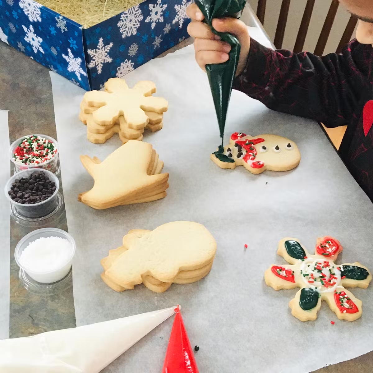 19142-christmas-cookie-decorating-kit-1.jpg