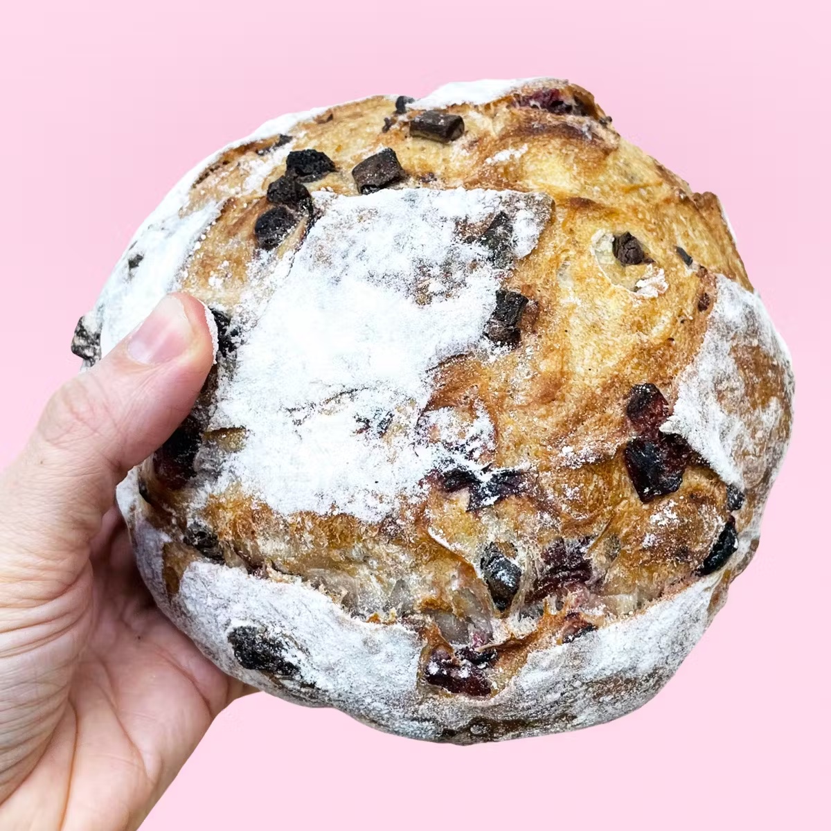 Chocolate Cherry Bread - 2 Pack