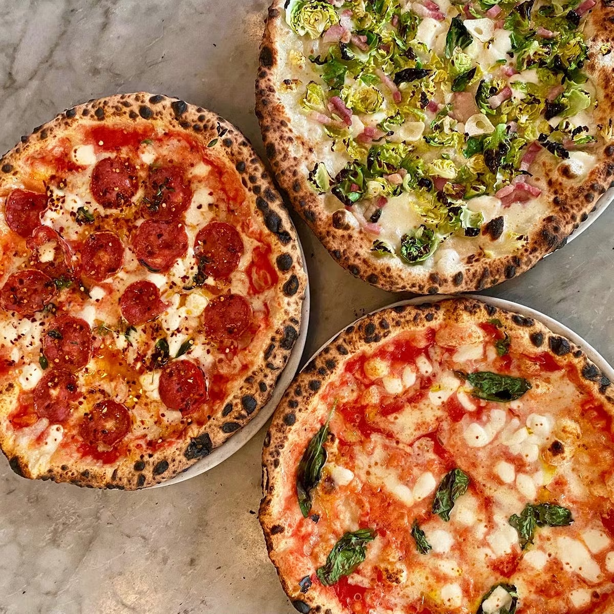 Neapolitan Pizza Best Seller - 6 Pack