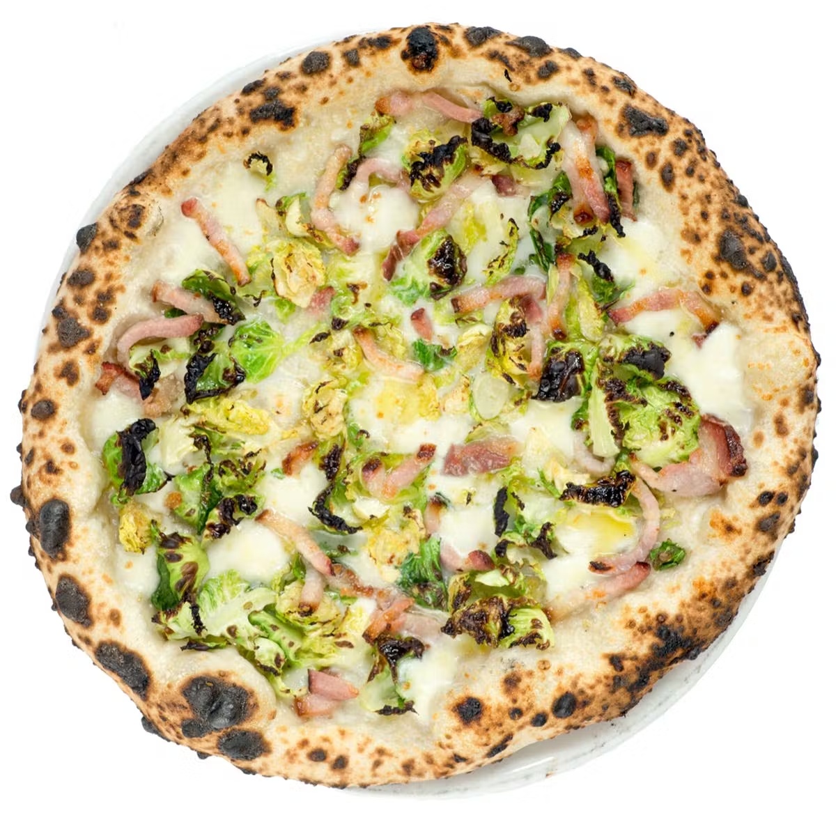 19185-neapolitan-pizza-best-seller-6-pack-1.jpg