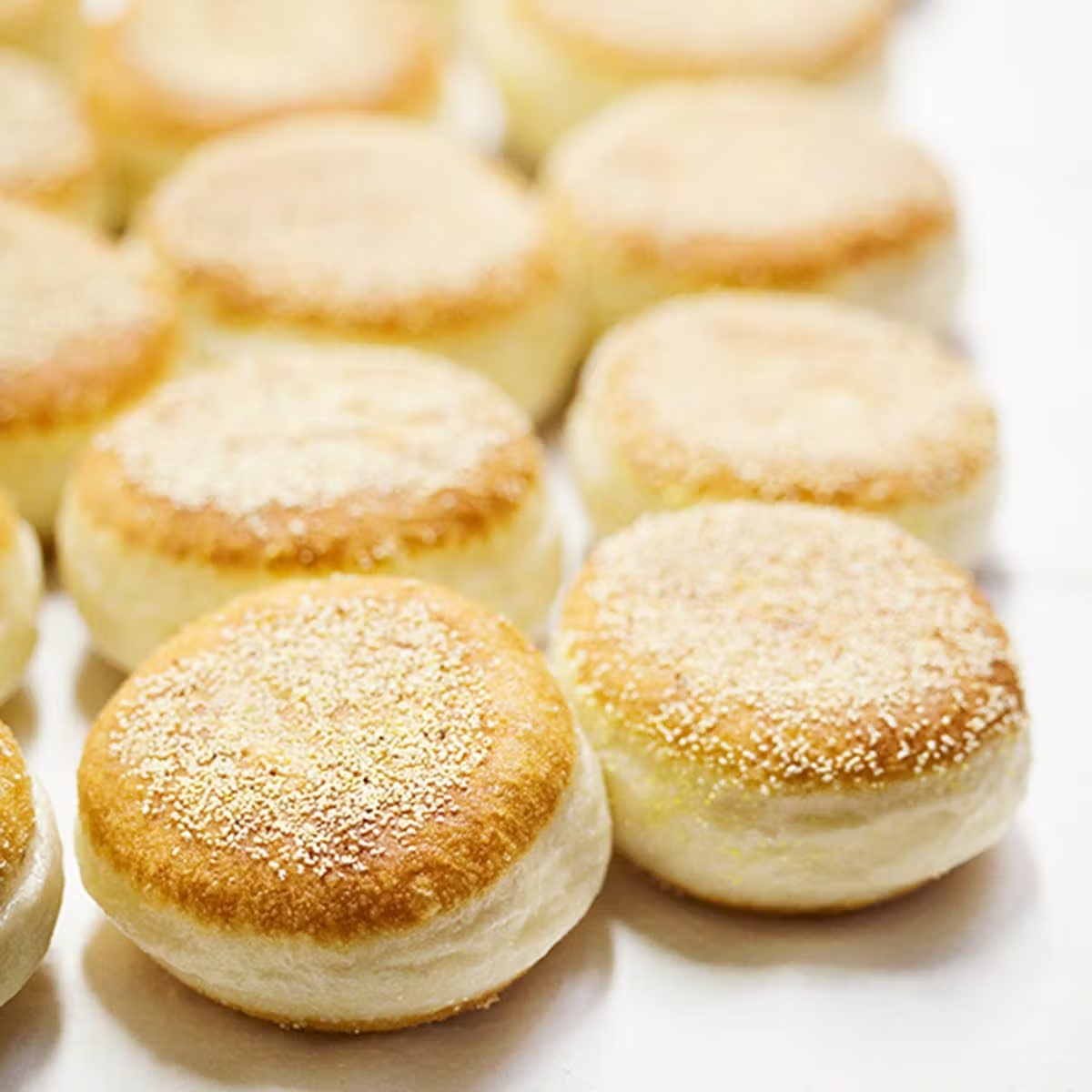 Famous English Muffins - 24 Pack