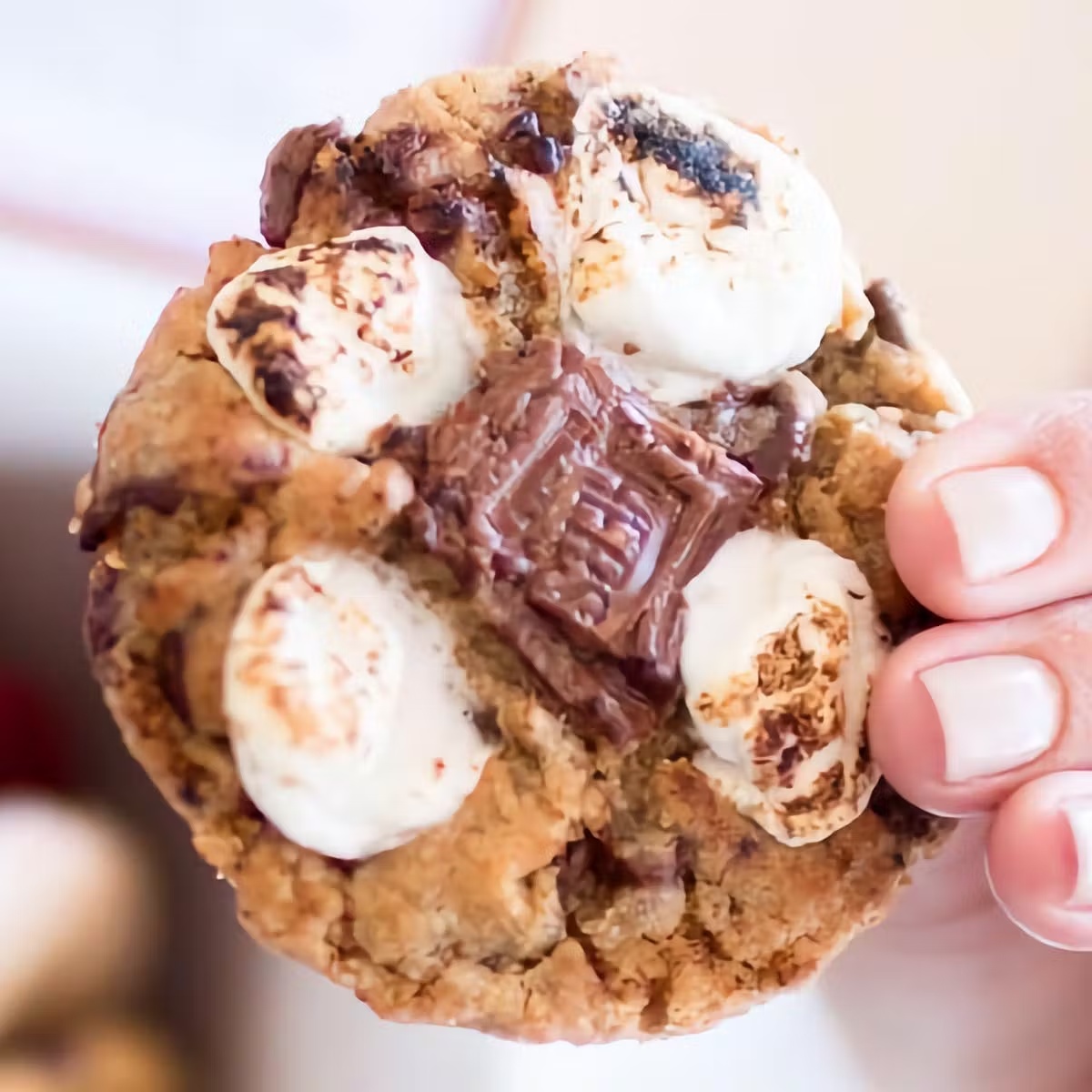 S'mores Cookie - 12 Pack