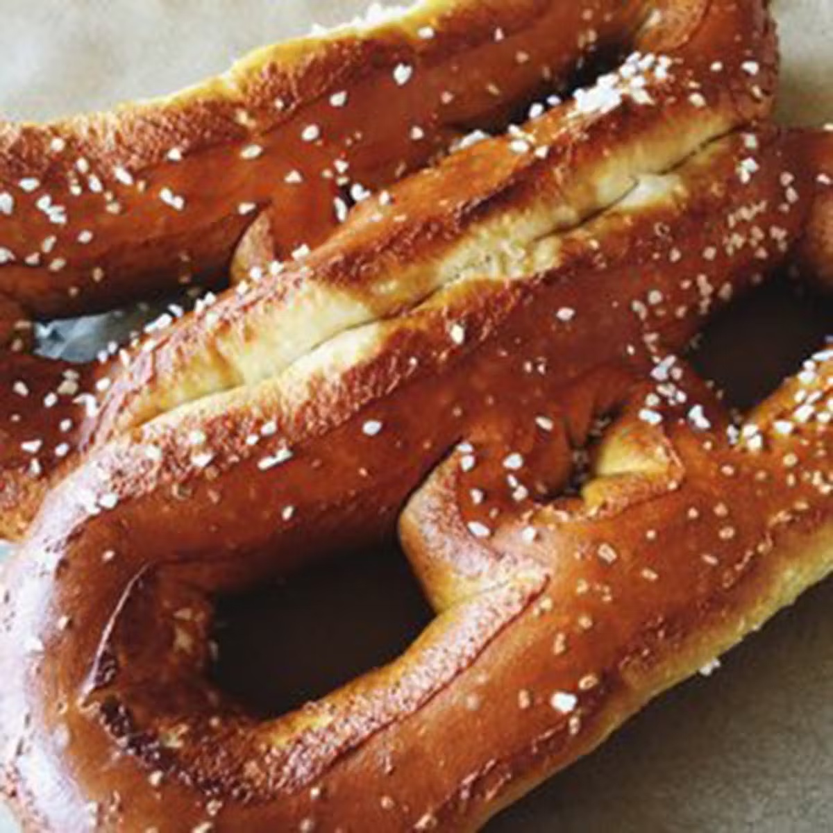 19260-philly-soft-pretzels-mustard-5-pack-1.jpg