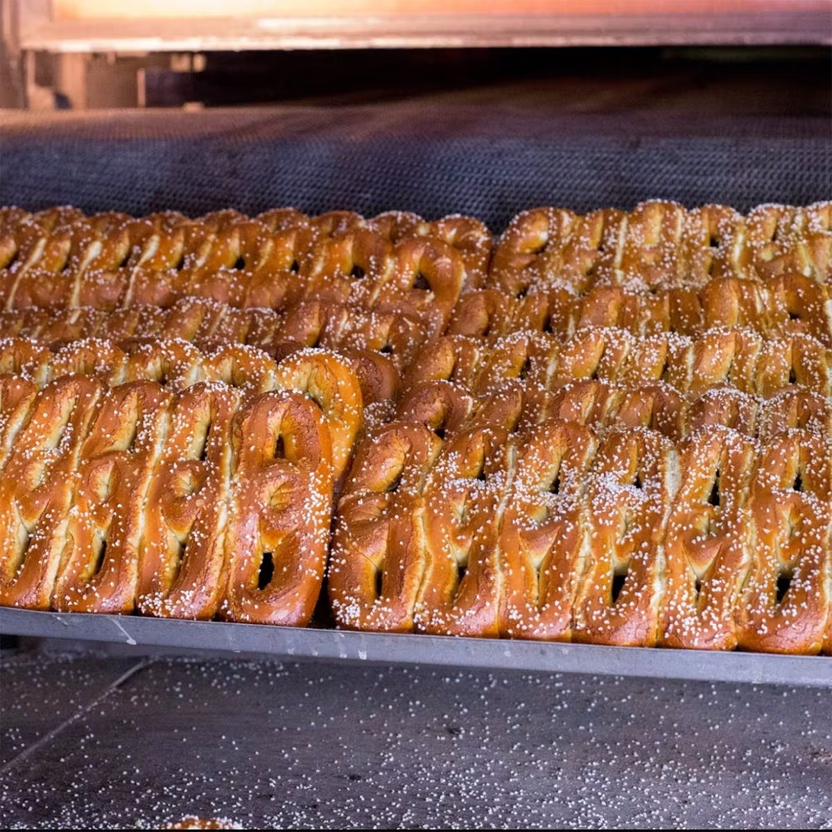 19260-philly-soft-pretzels-mustard-5-pack-1.jpg