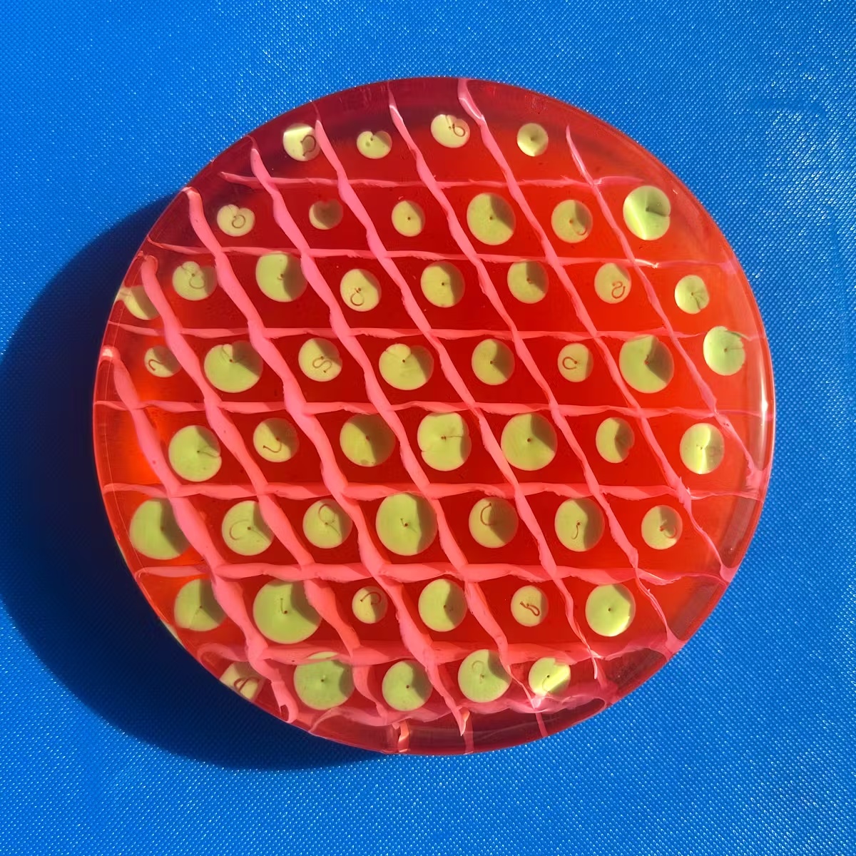 Strawberry Daiquiri Cocktail Boozy Jelly Cake