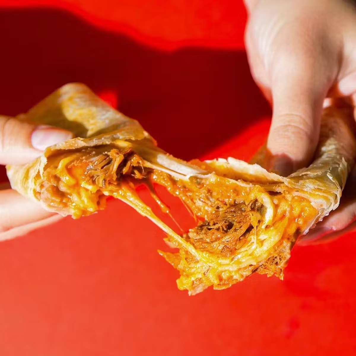 "Beef Birria Platillo Especial Con Todo" Burritos - 12 Pack