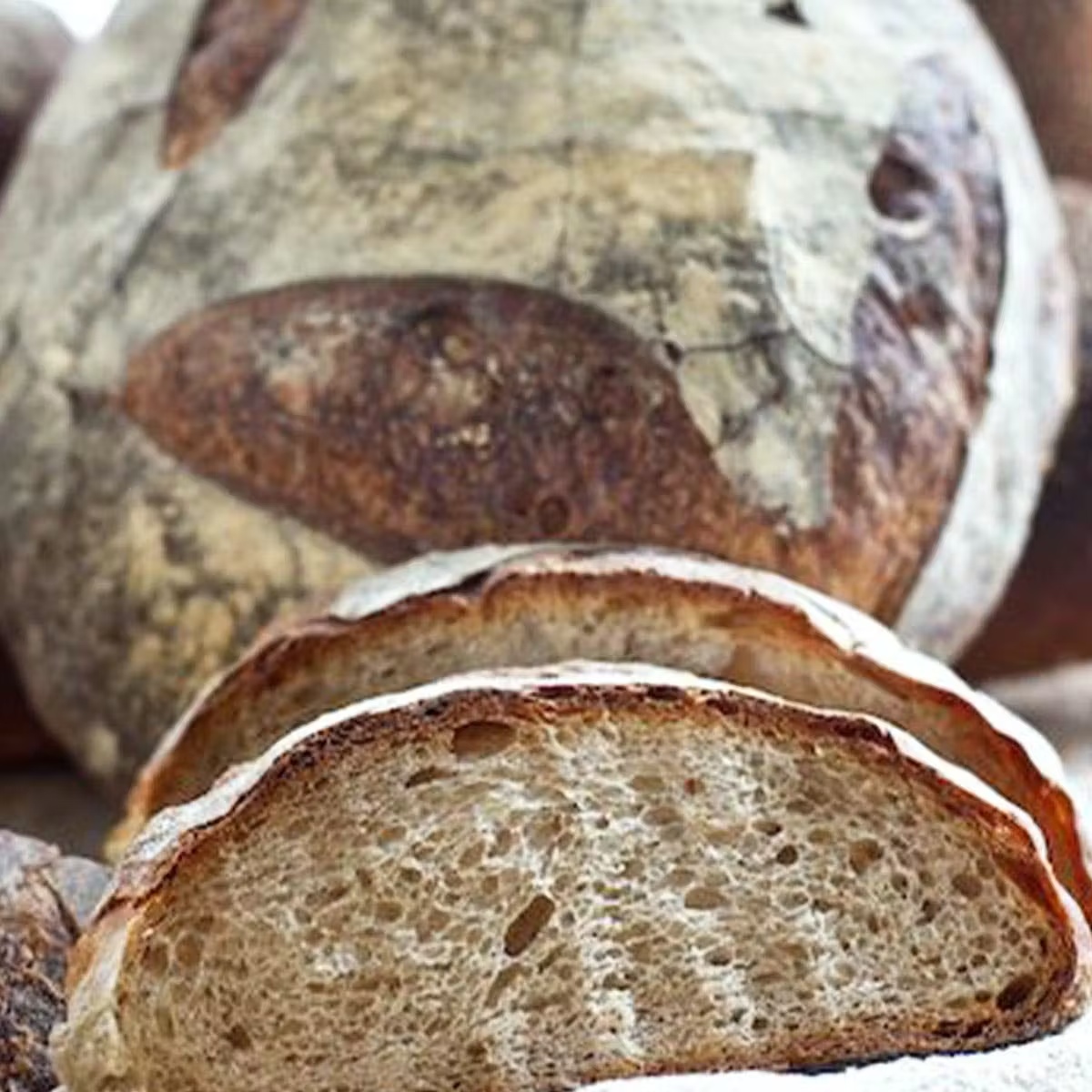 19732-artisanal-bread-choose-your-own-6-pack-1.jpg