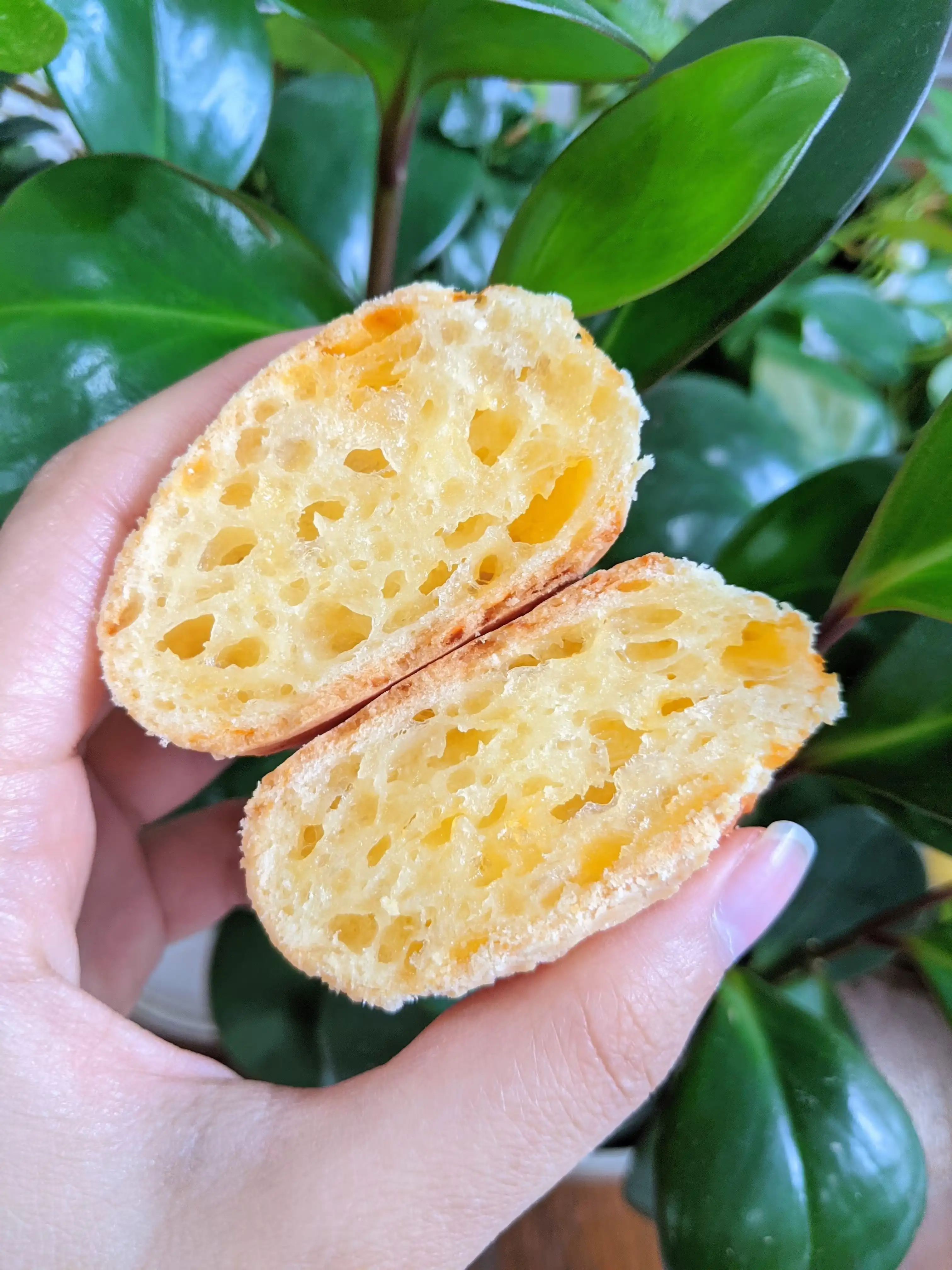 "Pao de Queijo" Brazilian Cheese Bread - 12 Pack