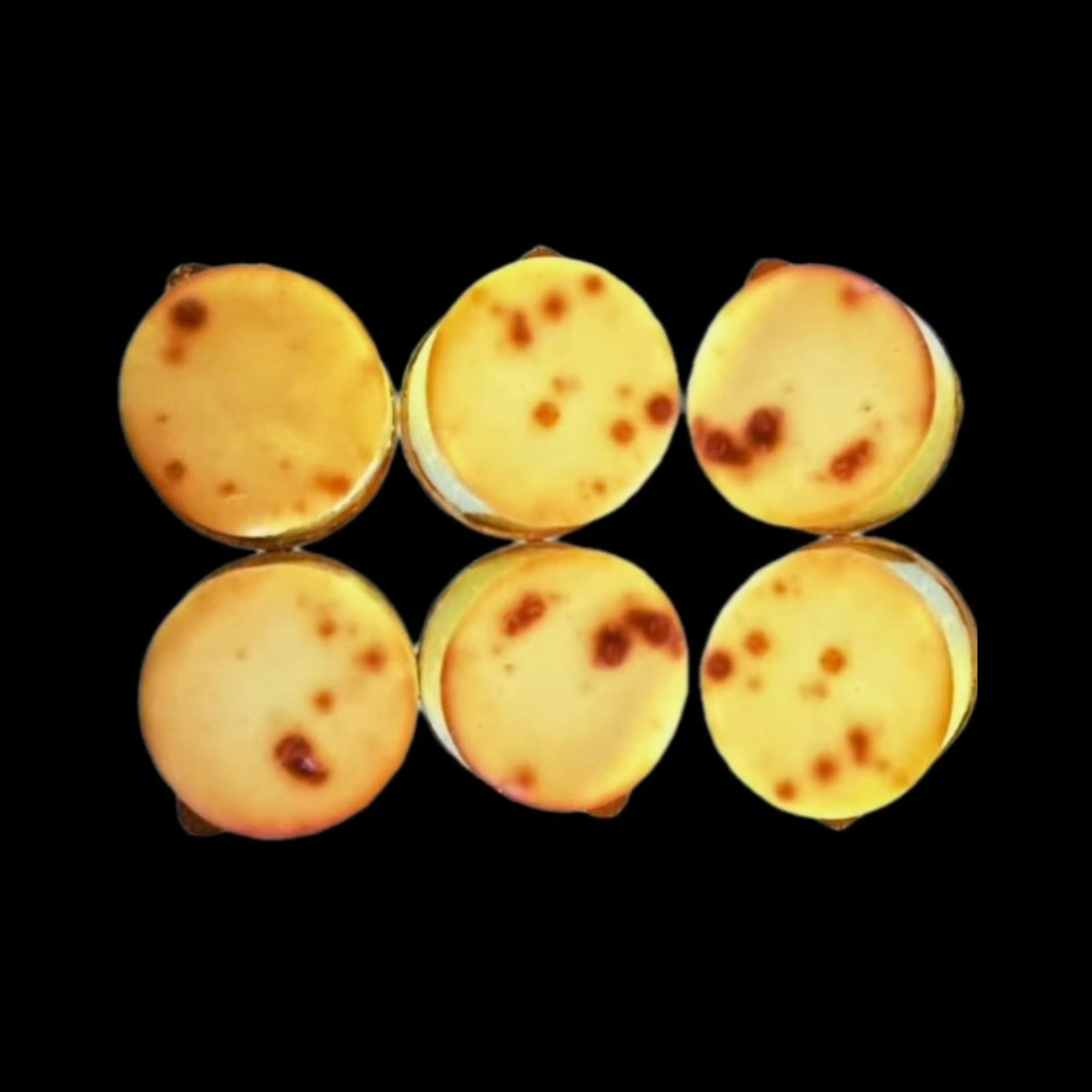 Mini Cheesecake - 6 Pack