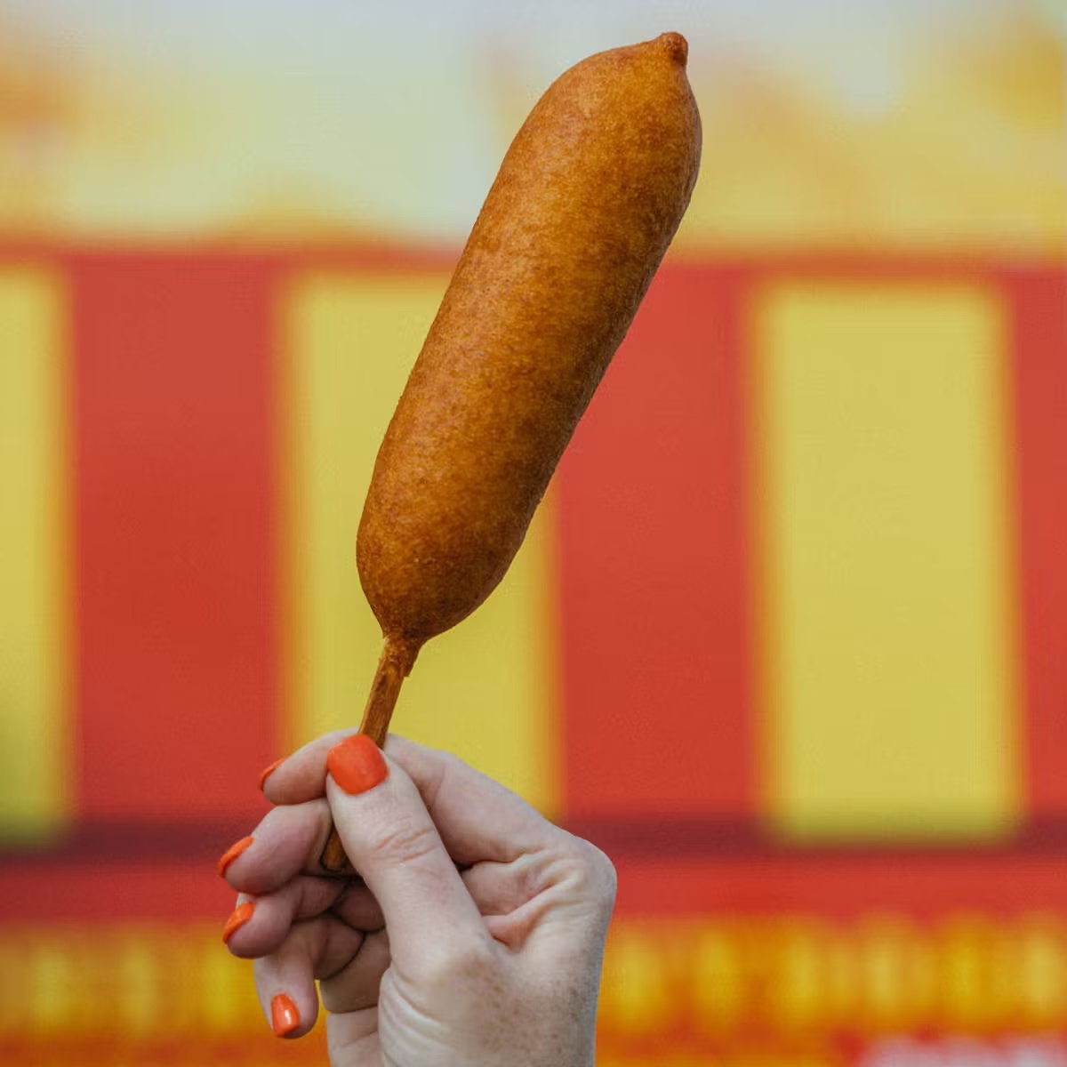 "Bird Dog" Turkey Corny Dog