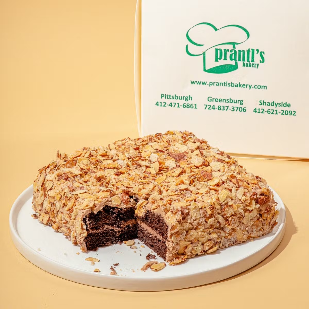 Chocolate Burnt Almond Torte