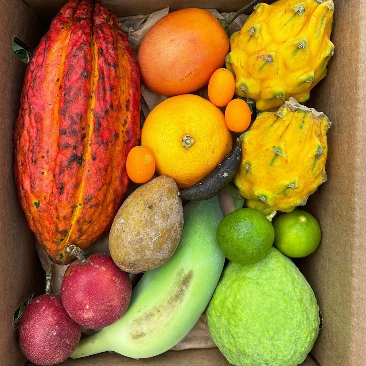 Fresh Fruit Variety Box