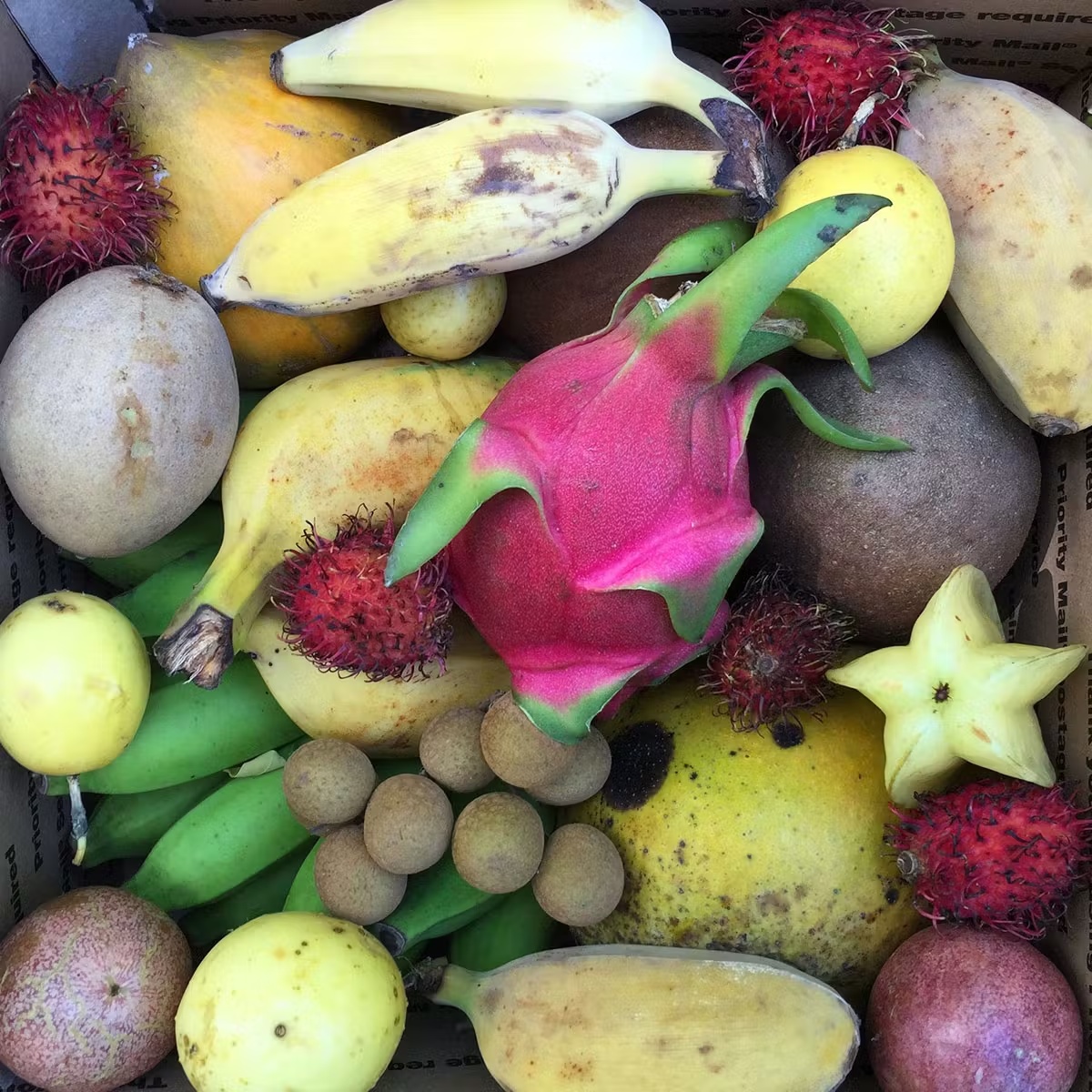 Fresh Fruit Variety Box