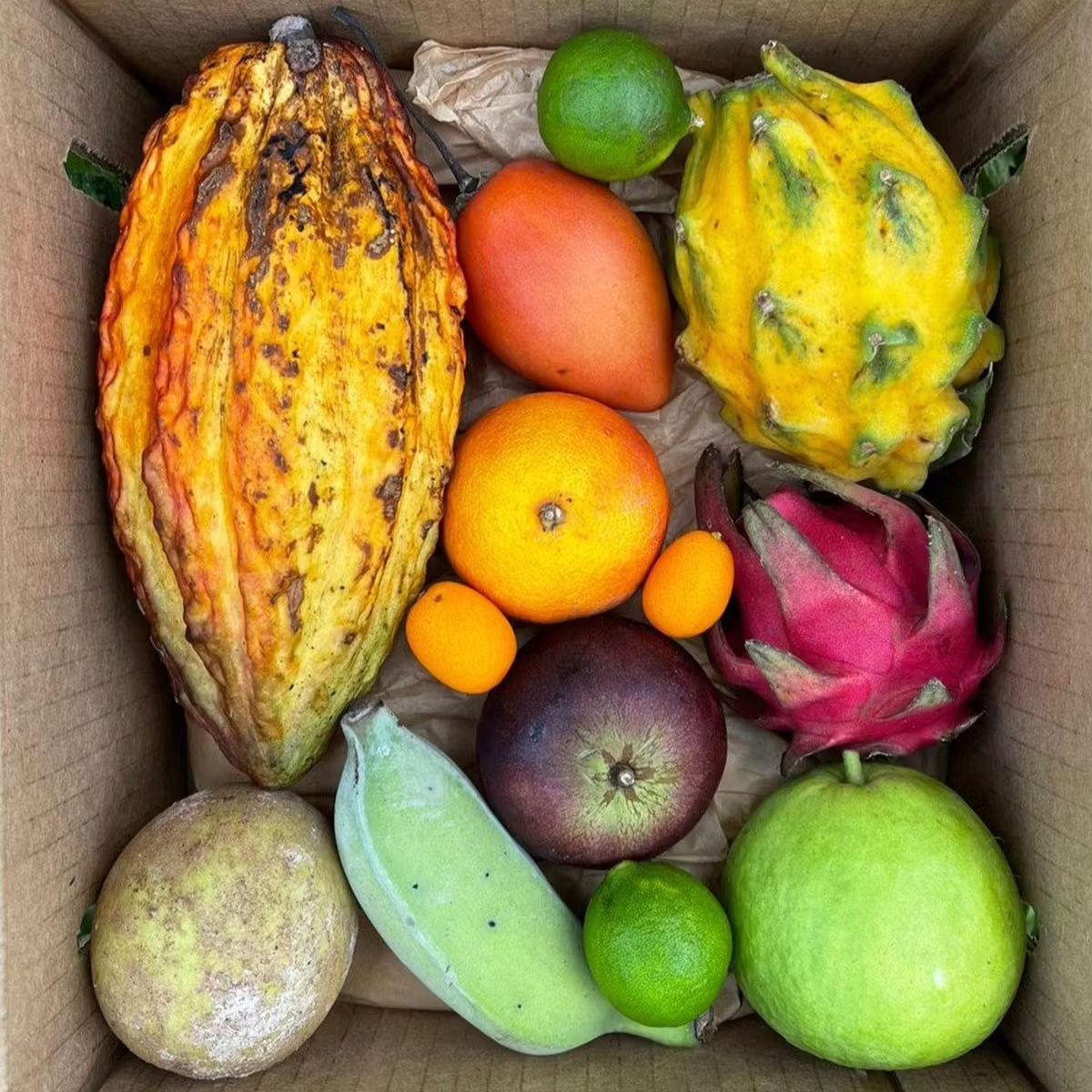 20239-fresh-fruit-variety-box-1.jpg