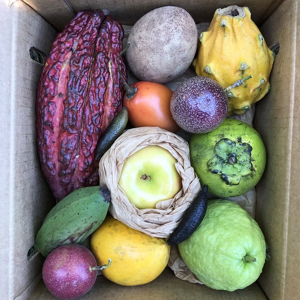 20239-fresh-fruit-variety-box-1.jpg