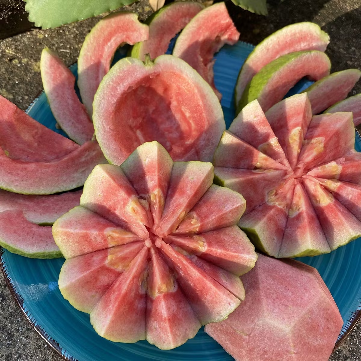 Watermelon Guava Fruit Box