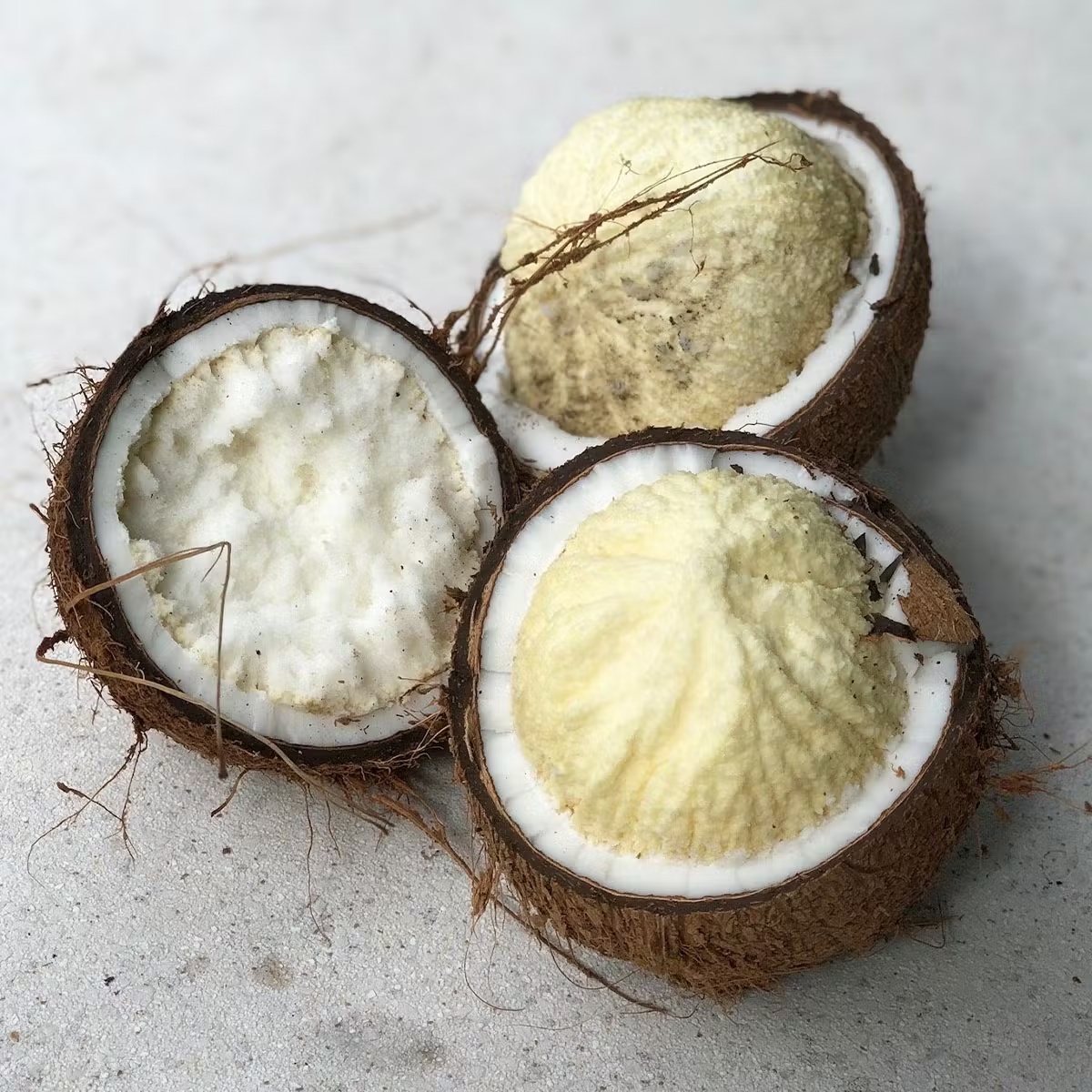 Sprouted Coconut Box