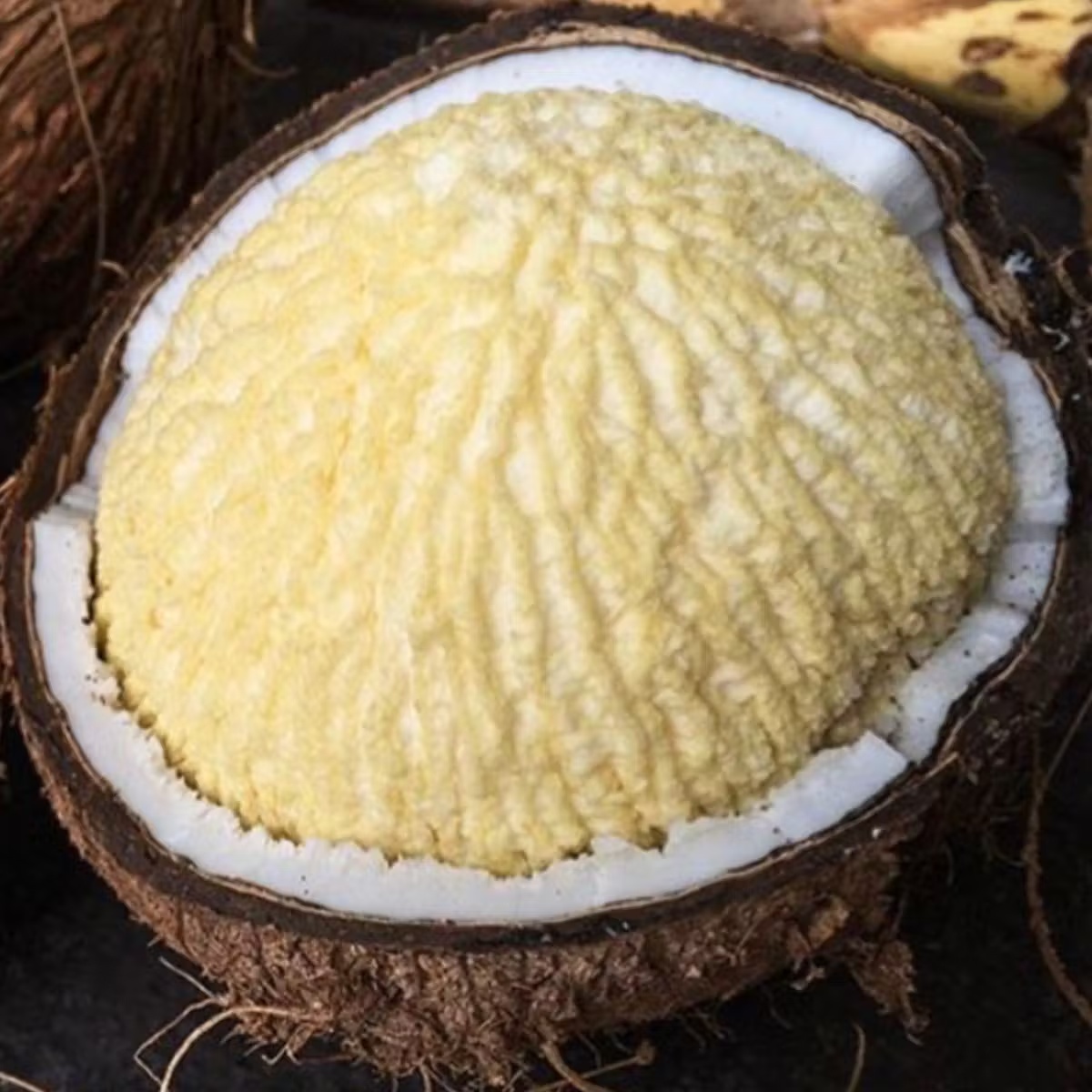 Sprouted Coconut Box