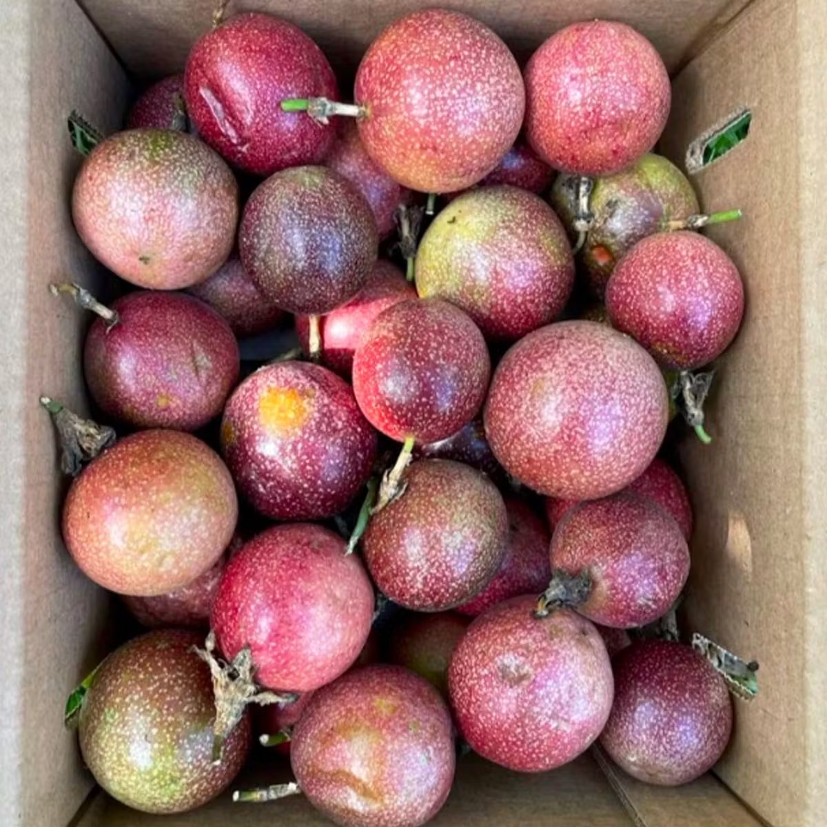 Purple Passionfruit Box