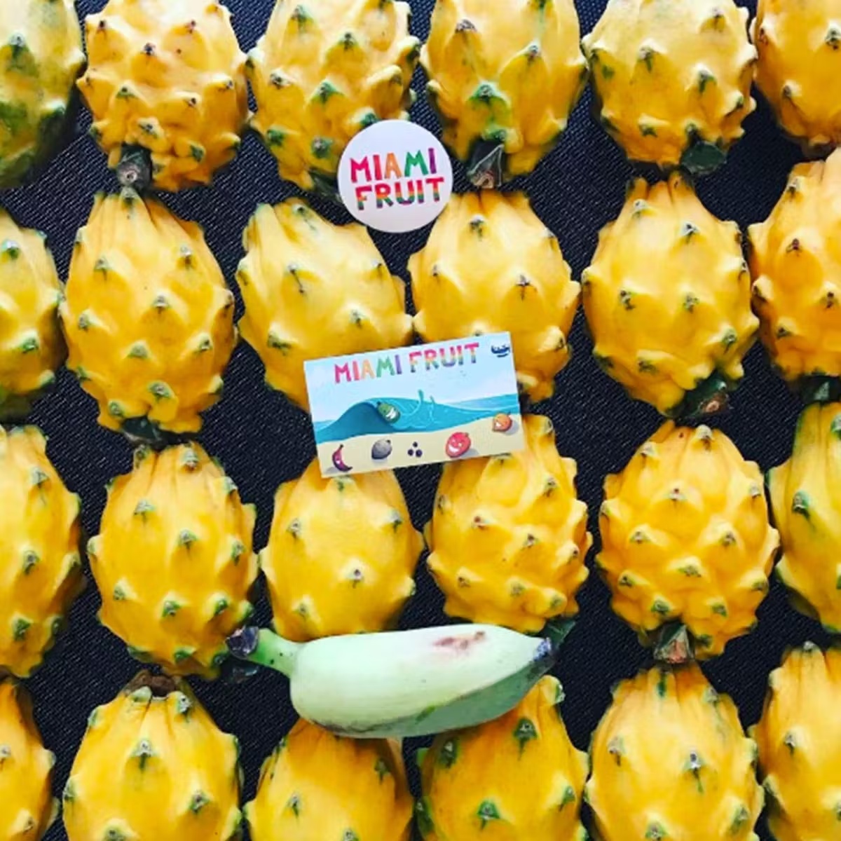Yellow Dragonfruit Box
